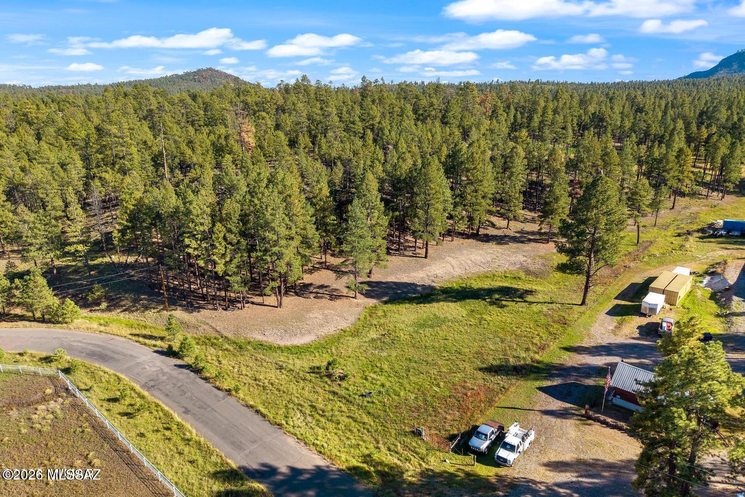 Build above it all--4.44 pine-covered acres with panoramic Alpine views, exceptional privacy with close proximity to National forest. Towering pines, panoramic views, and 4.44 acres of mountain privacy--the perfect inspiration for your custom dream cabin in Alpine! Located in the Alpine Unsubdivided area with limited deed restrictions, this beautiful vacant parcel features a blend of wooded hillside, natural clearings, and an elevated, level area overlooking Alpine and the surrounding mountain landscape. Mature pines provide a peaceful forest setting, while sweeping views of nearby meadows and timbered ridgelines create a breathtaking backdrop for your future retrea Imagine a spacious deck positioned to capture the scenery, morning coffee among the treetops, and room to enjoy the quiet beauty of the White Mountains.

Water and power are available, bringing your mountain vision one step closer. Whether you envision a secluded seasonal cabin or a full-time mountain home, this property offers space, character, and a setting that deserves to be experienced in person. Buyer to verify utility connection costs and building requirements.
