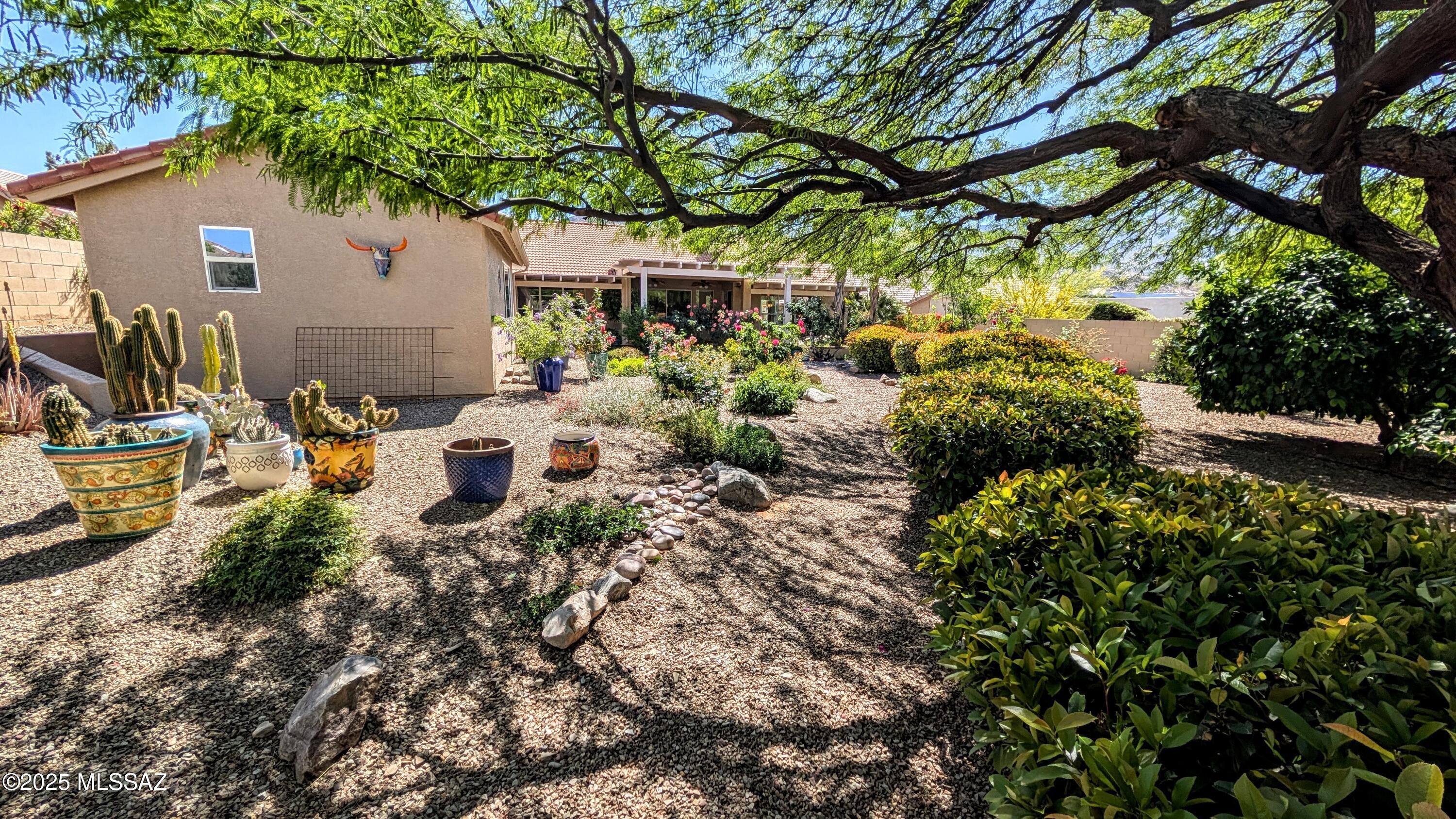 Saddlebrooke - Residential Lease