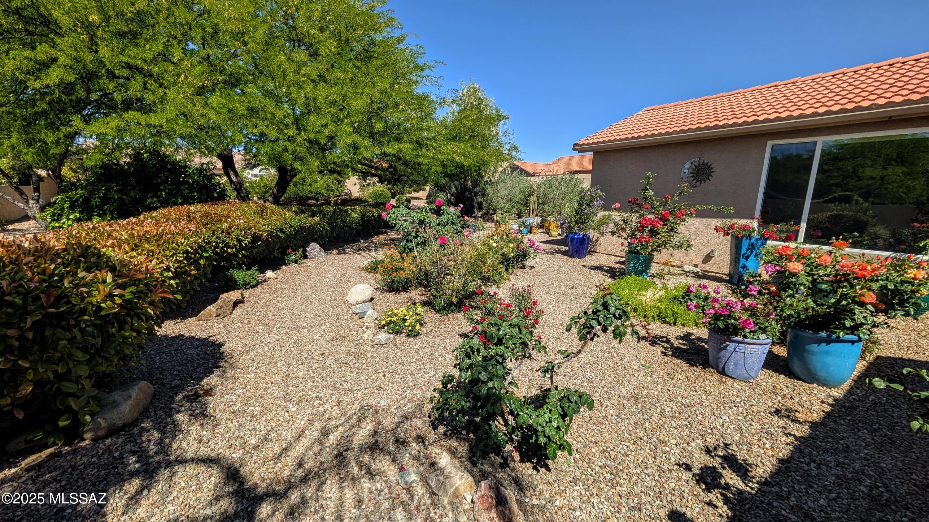 Saddlebrooke - Residential Lease