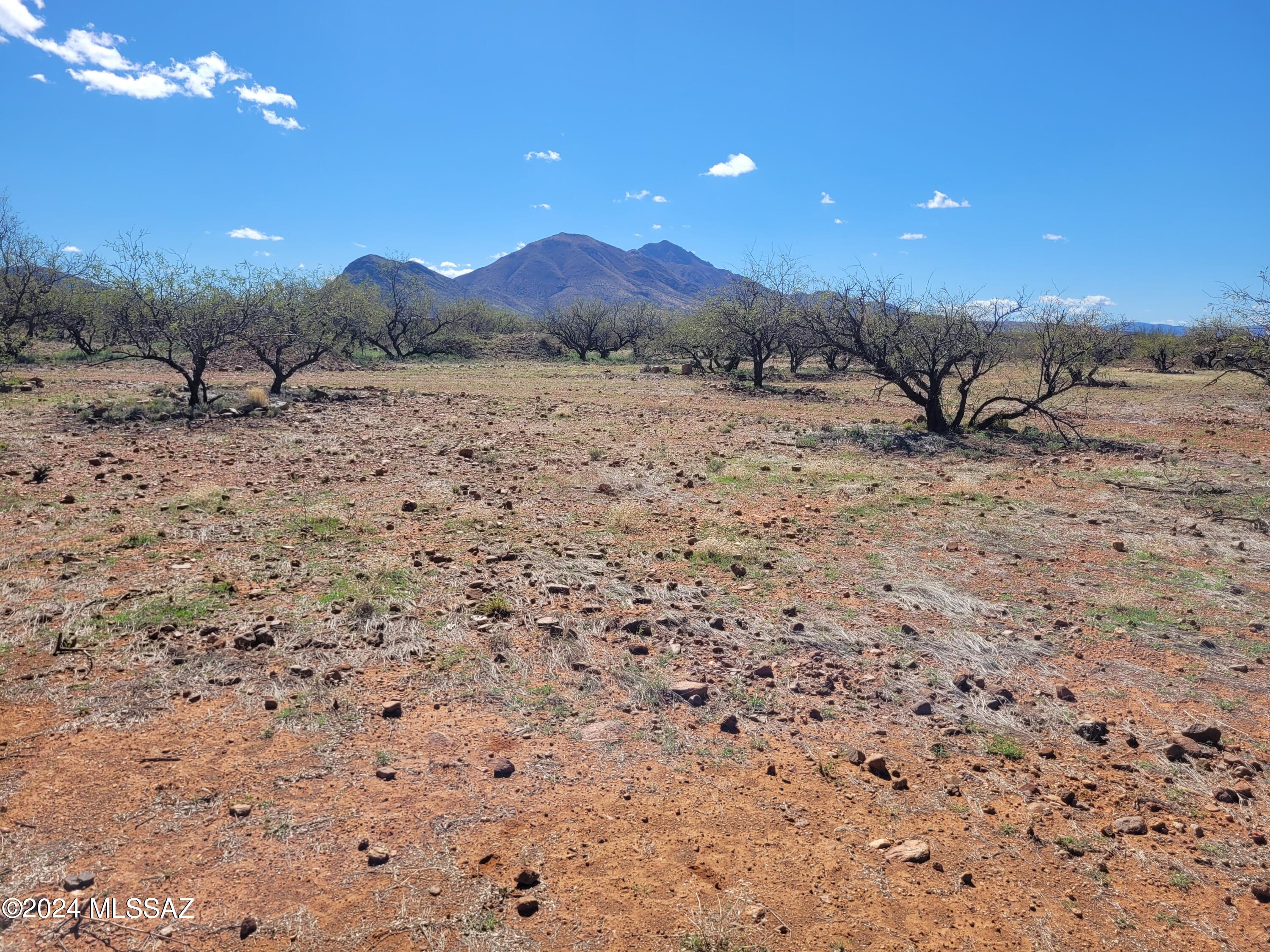 Tubac Foothills Ranch - Land