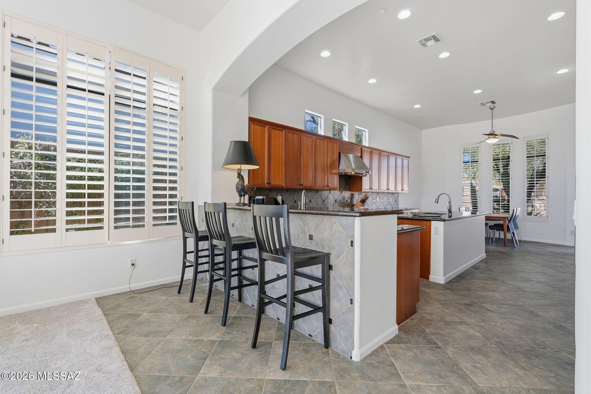 Sabino Mountain (1-290) - Residential