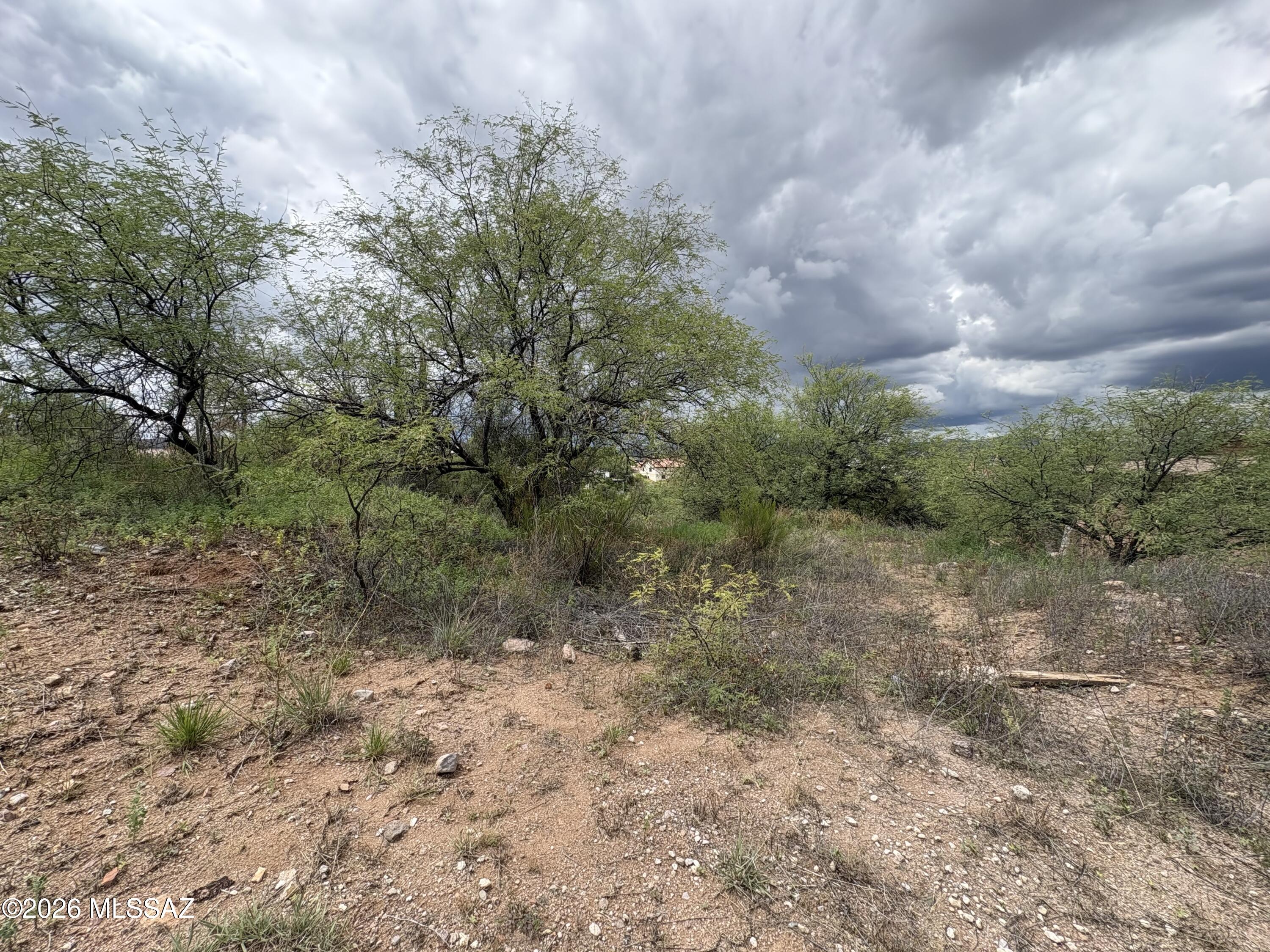 Rancho Grande - Land