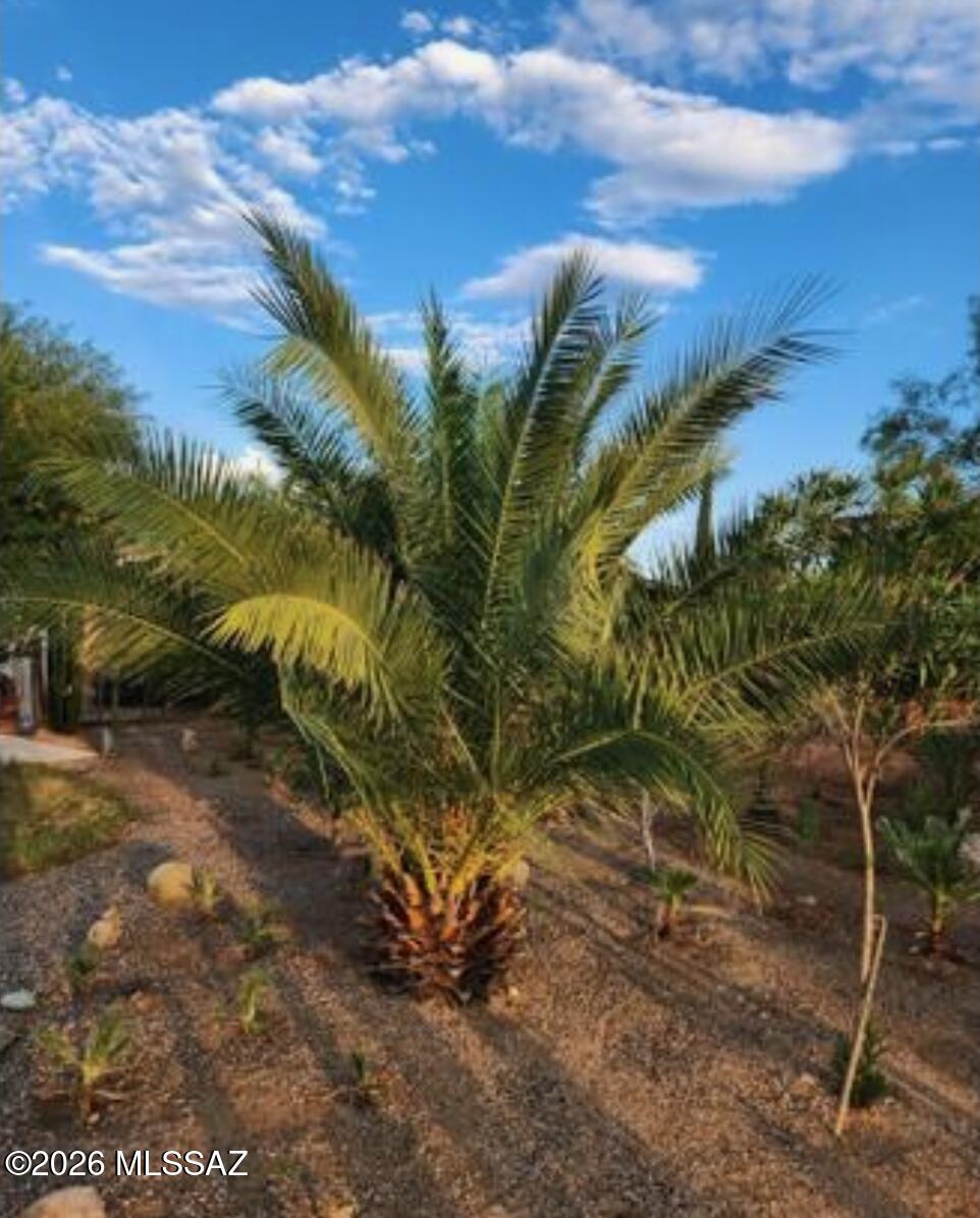 San Manuel Townsite - Residential