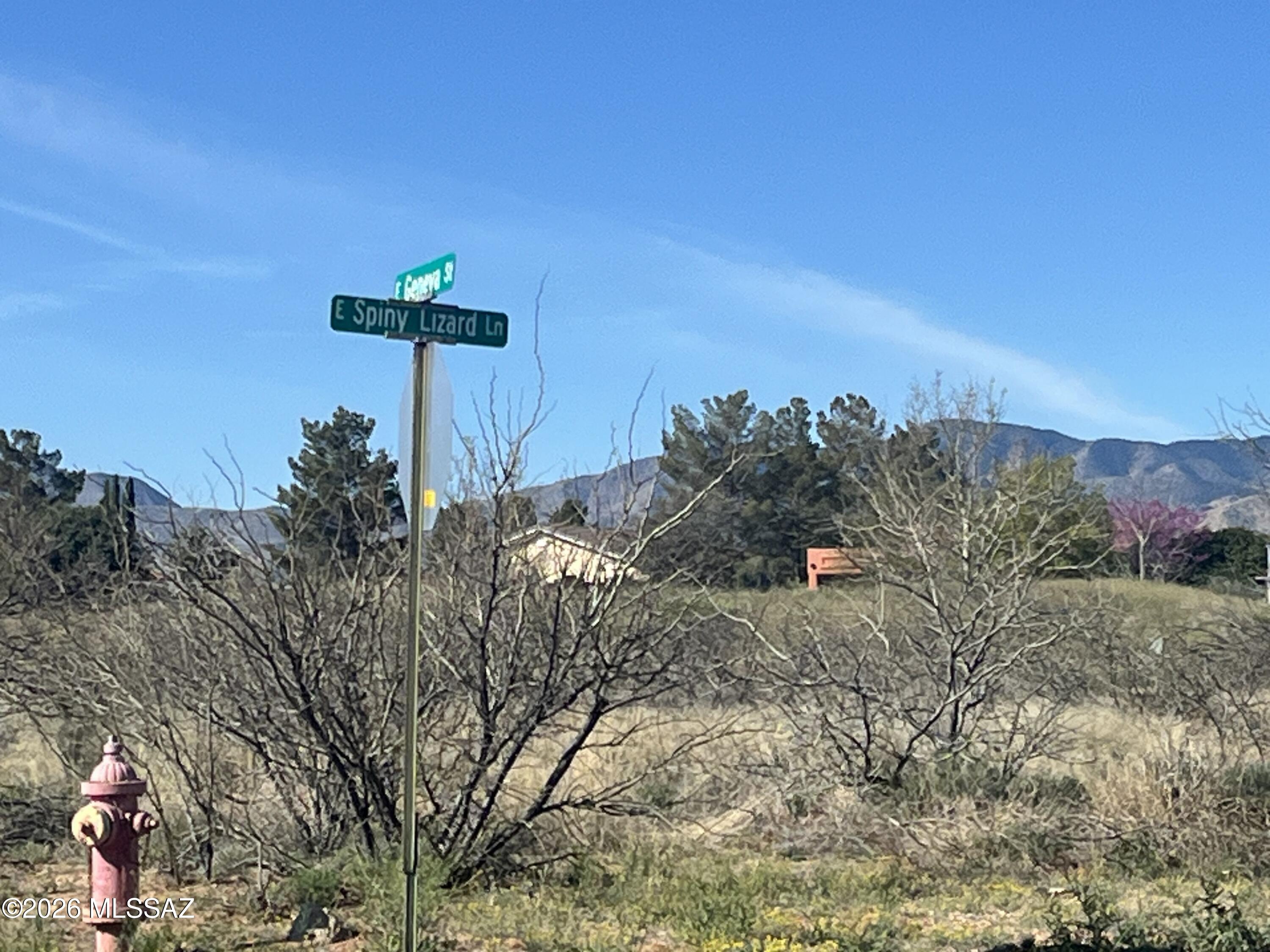 READY to BUILD? Beautiful residential corner parcel with utilities in place & unbelivable open views in Sunsites. Underground power, Clear Spring water & sewer available to the lot. Dragoon Mountain views, sunsets, sunrises, paved street. Lovely streets with gorgeous homes that demonstrate pride of ownership.  Site built home only. No MFH's
Easy access to Hwy 191 and I-10.  MOTIVATED SELLER!
