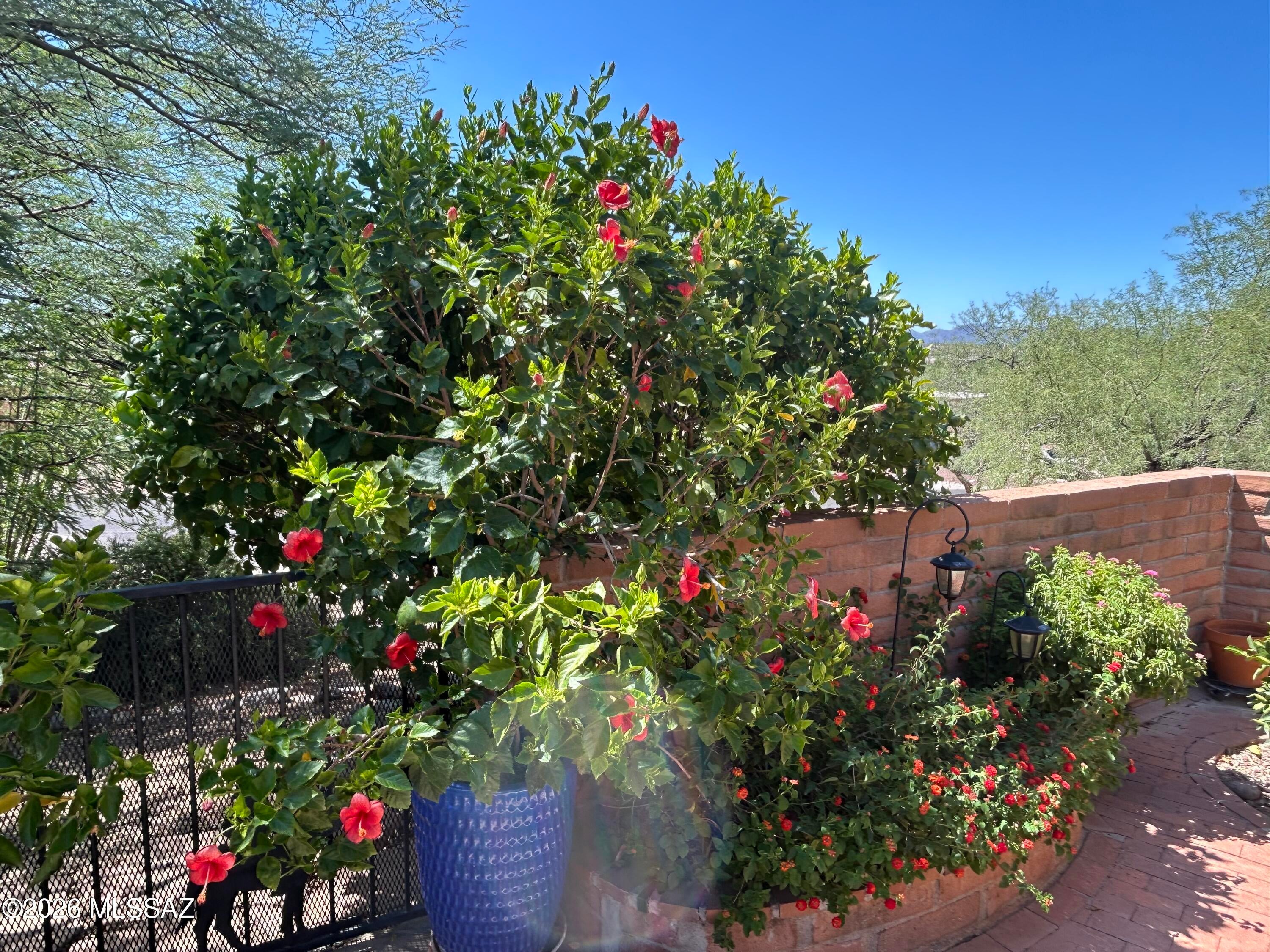 La Canada Hills - Residential