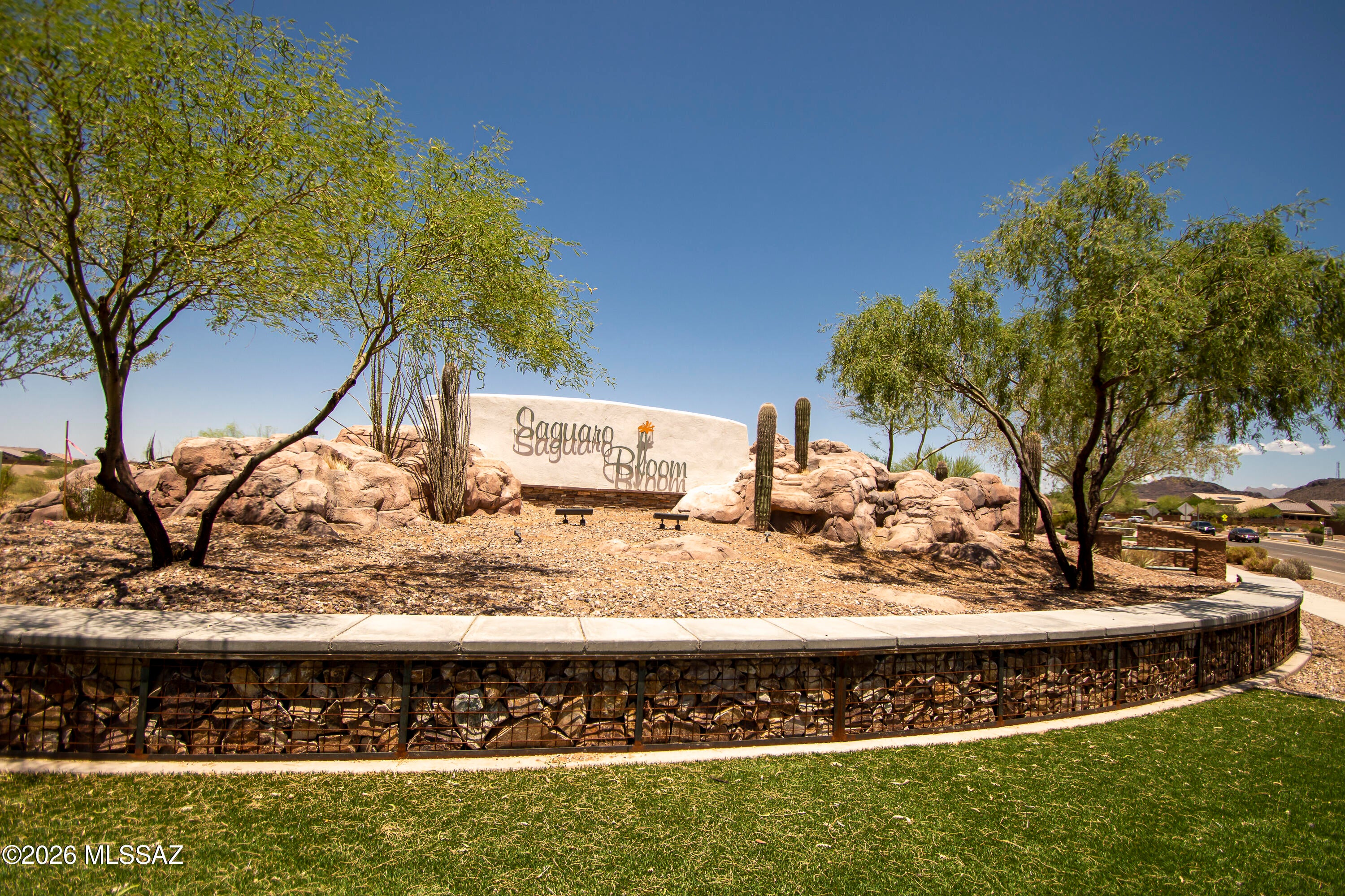 Saguaro Bloom 7A - Residential