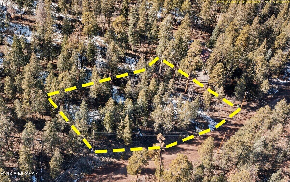.79 acres in Alpine, AZ, with utilities available at the lot line and easy year-round access on maintained roads. This beautiful, sloped parcel is dotted with mature ponderosa pine and spruce, offering a true mountain setting and excellent potential for scenic views with the right build site placement. Even better, the property borders the Sitgreaves National Forest, providing you with direct access to hiking, hunting, and endless exploration right from your property line. Whether you're planning a summer escape or a full-time mountain home, this is a prime opportunity to build your dream cabin in one of Arizona's most loved high-country communities. Come check it out!