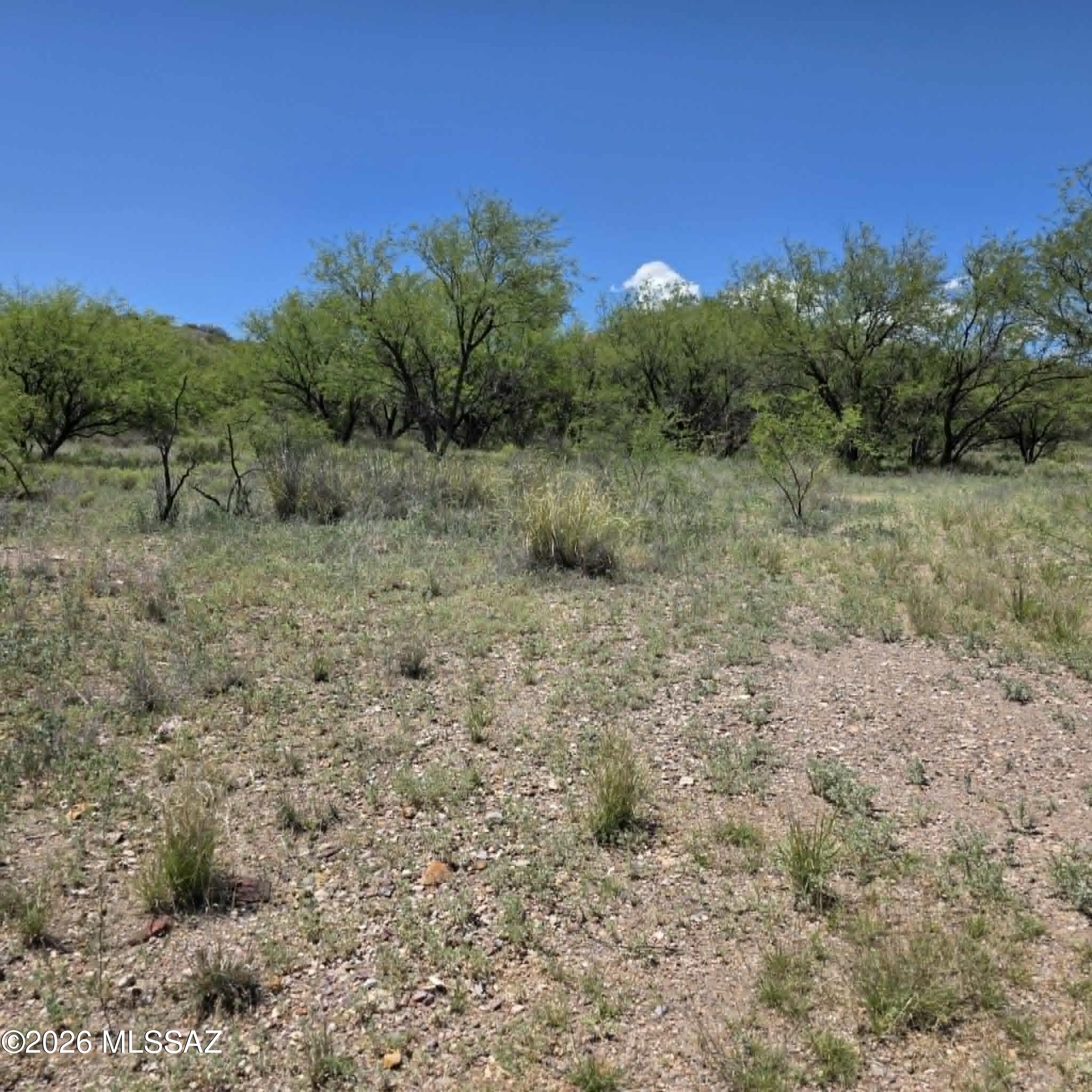 Stevens Canyon Ranch - Land