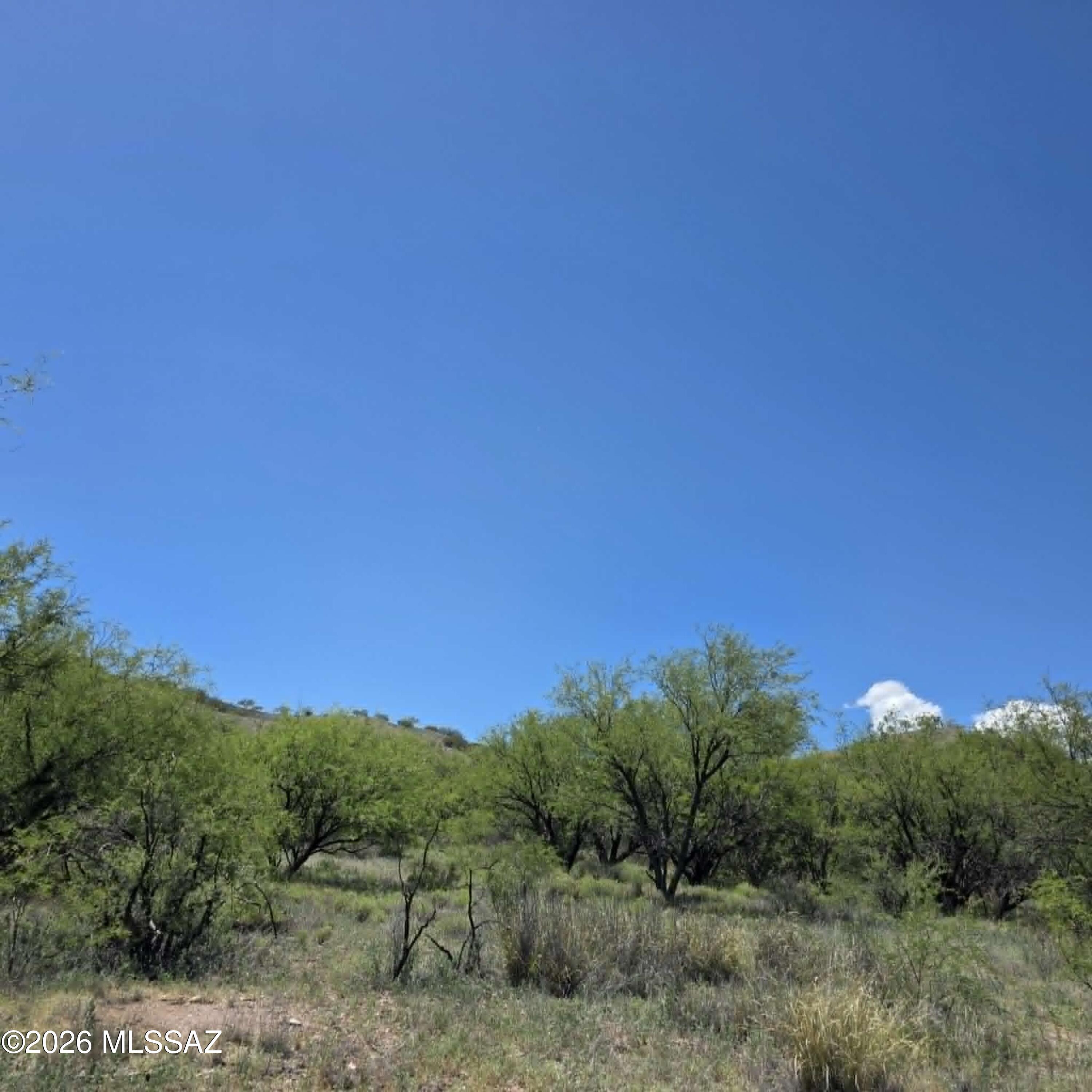 Stevens Canyon Ranch - Land