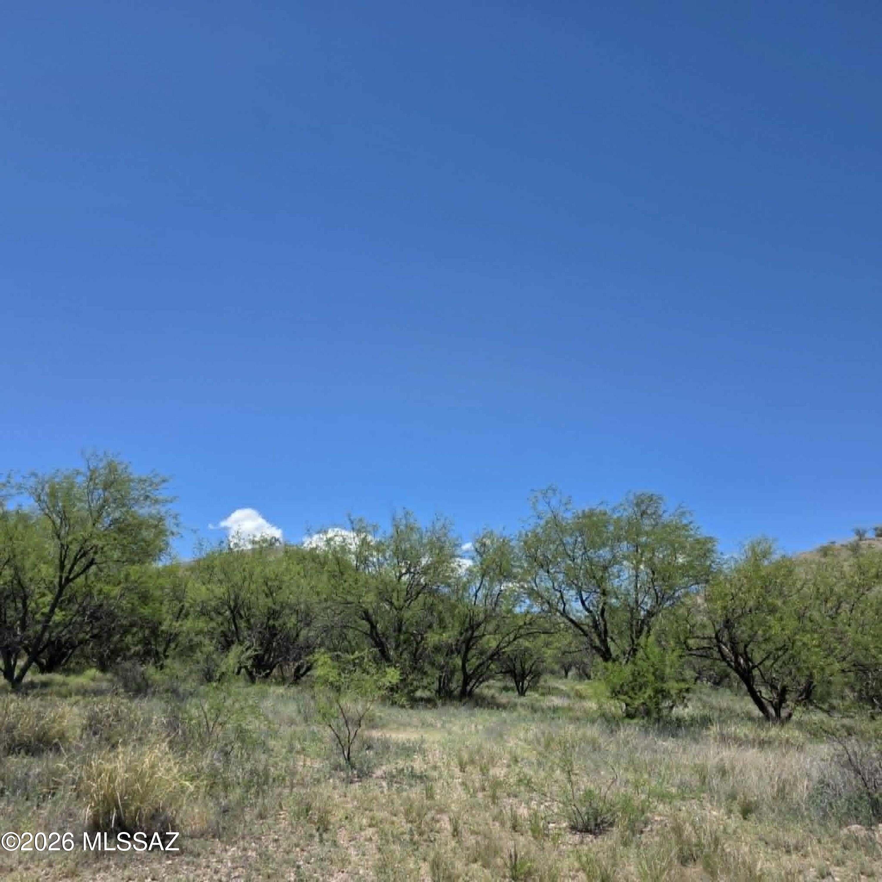 Discover your high-country sanctuary on this 42.40-acre parcel in the prestigious Stevens Canyon Ranch. Located in beautiful Patagonia, this expansive lot offers breathtaking mountain and panoramic views. With generous dimensions (approx. 425'x1727'x1752'x1964'), there is ample space for a custom estate or rural retreat. Zoned SCC-GR, the property is ready for your vision. Situated in the Patagonia Public School District, this land perfectly balances seclusion with community access.