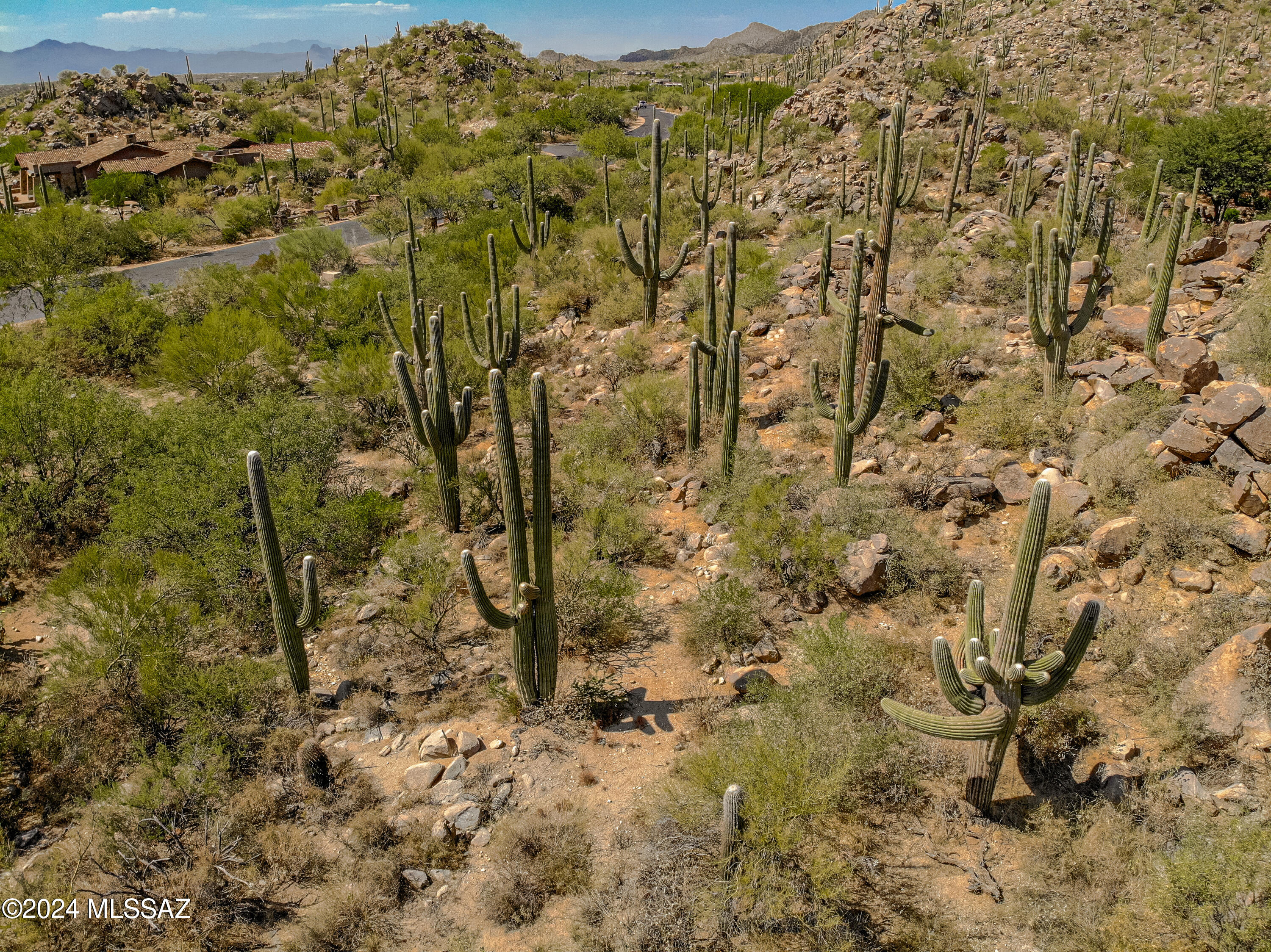 Stone Canyon II - Land