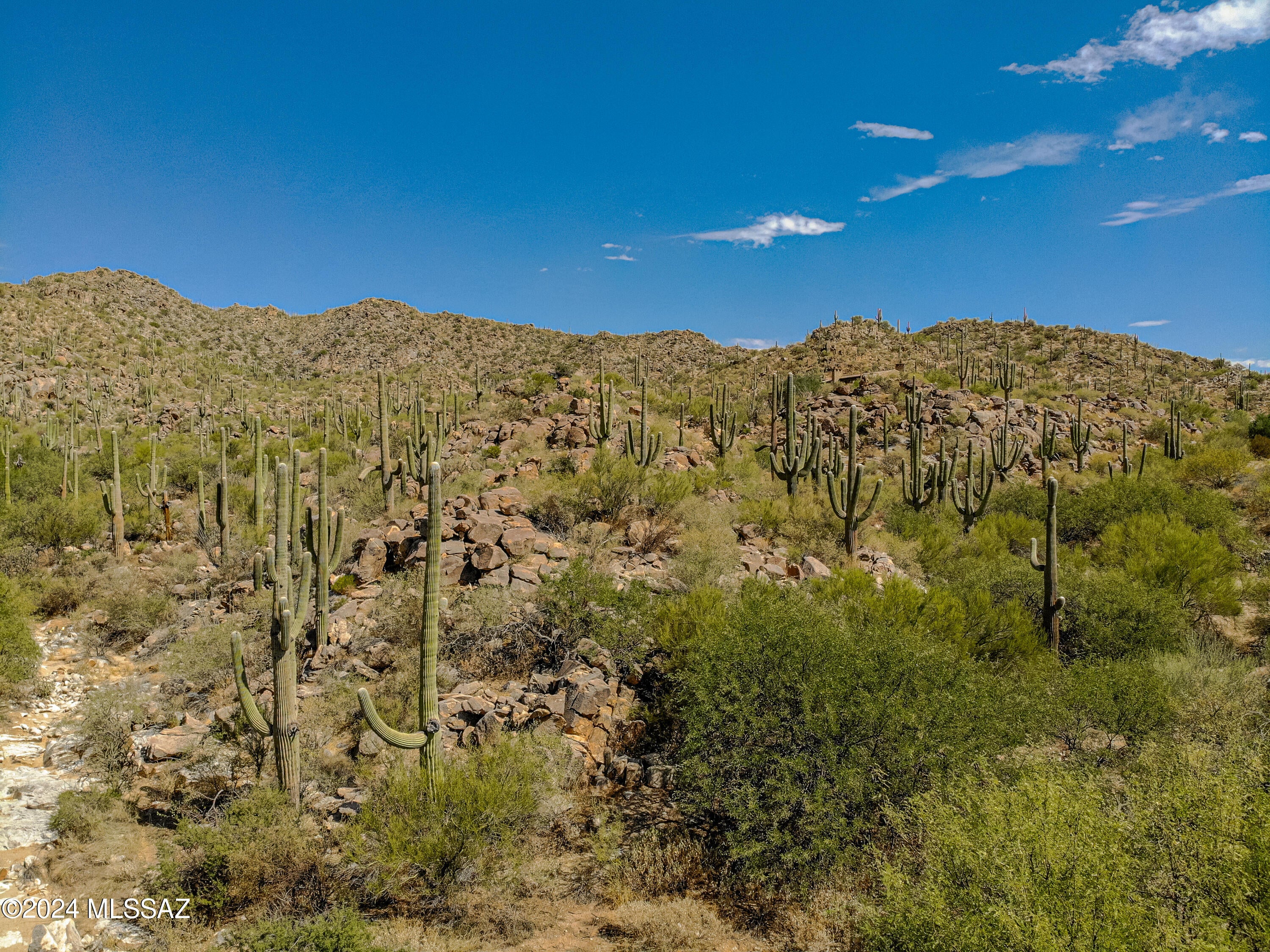 Stone Canyon II - Land