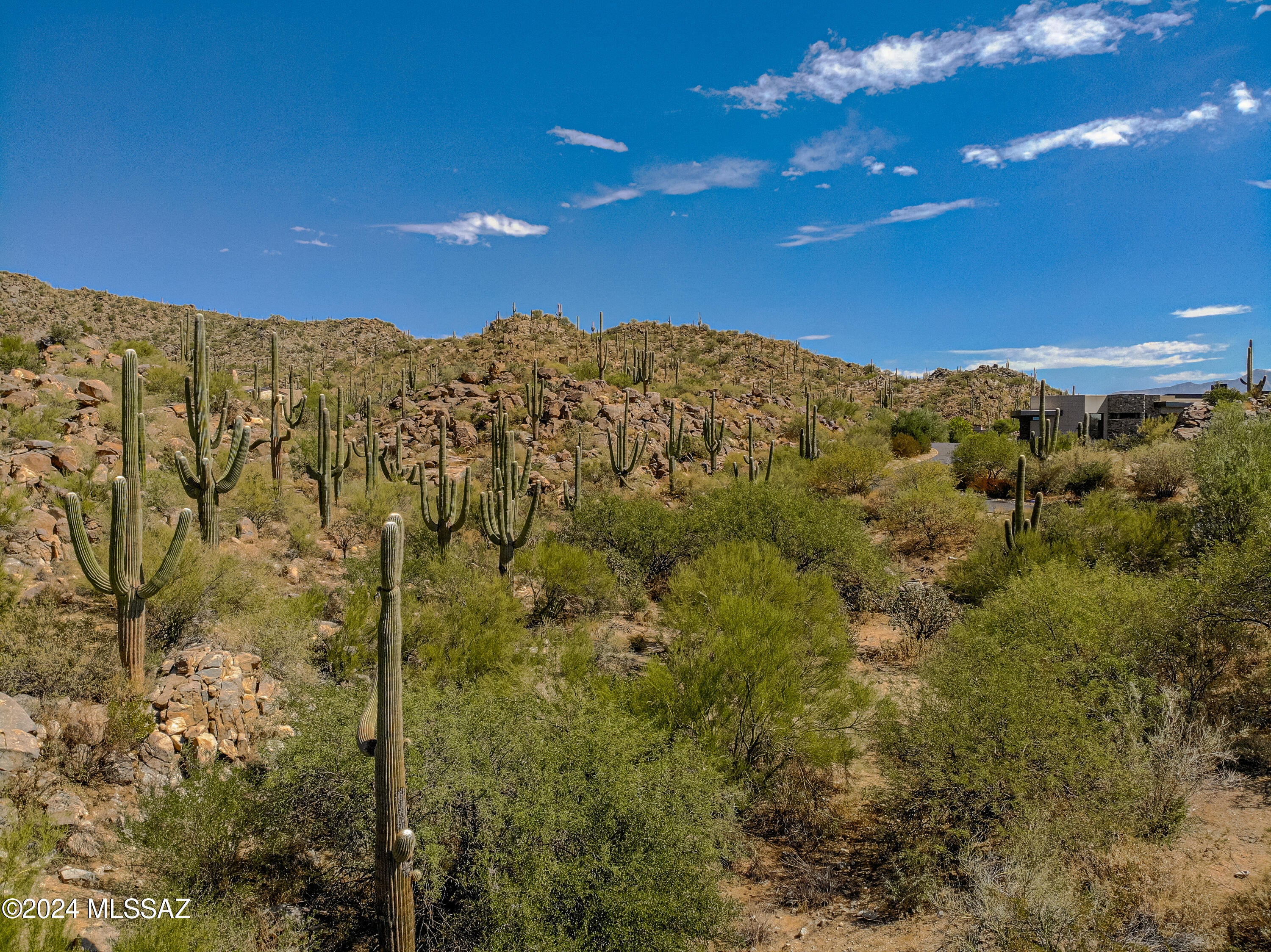 Stone Canyon II - Land