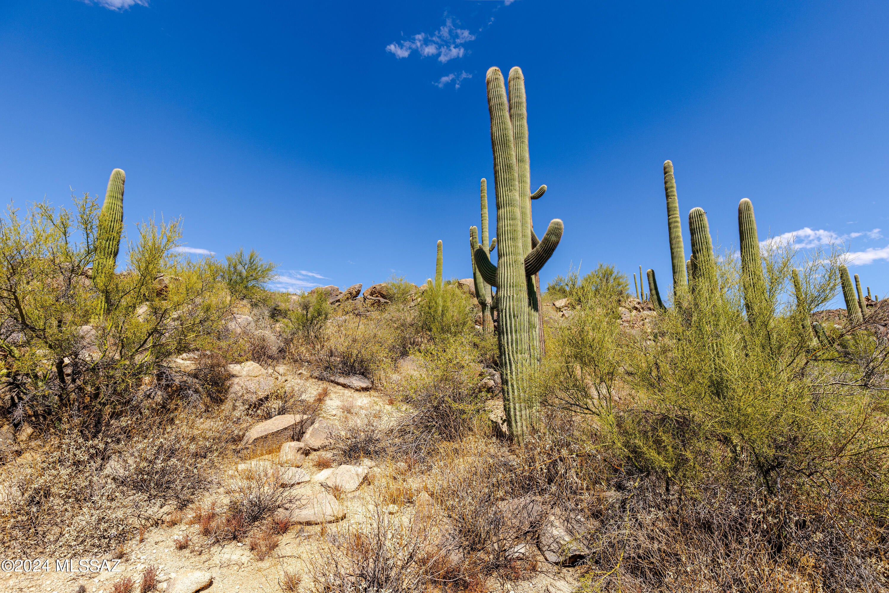 Stone Canyon II - Land