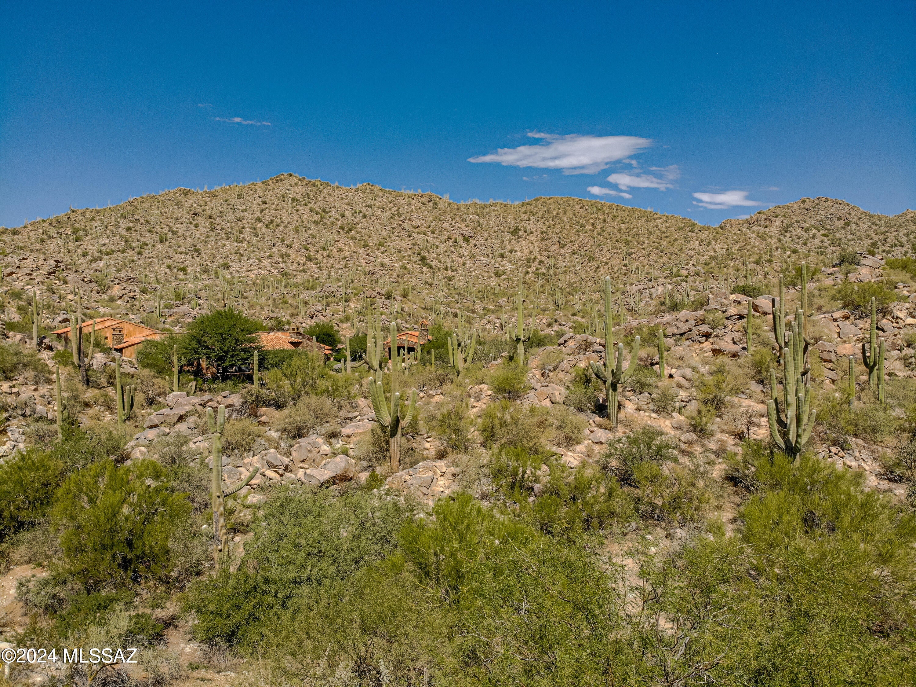 Stone Canyon II - Land
