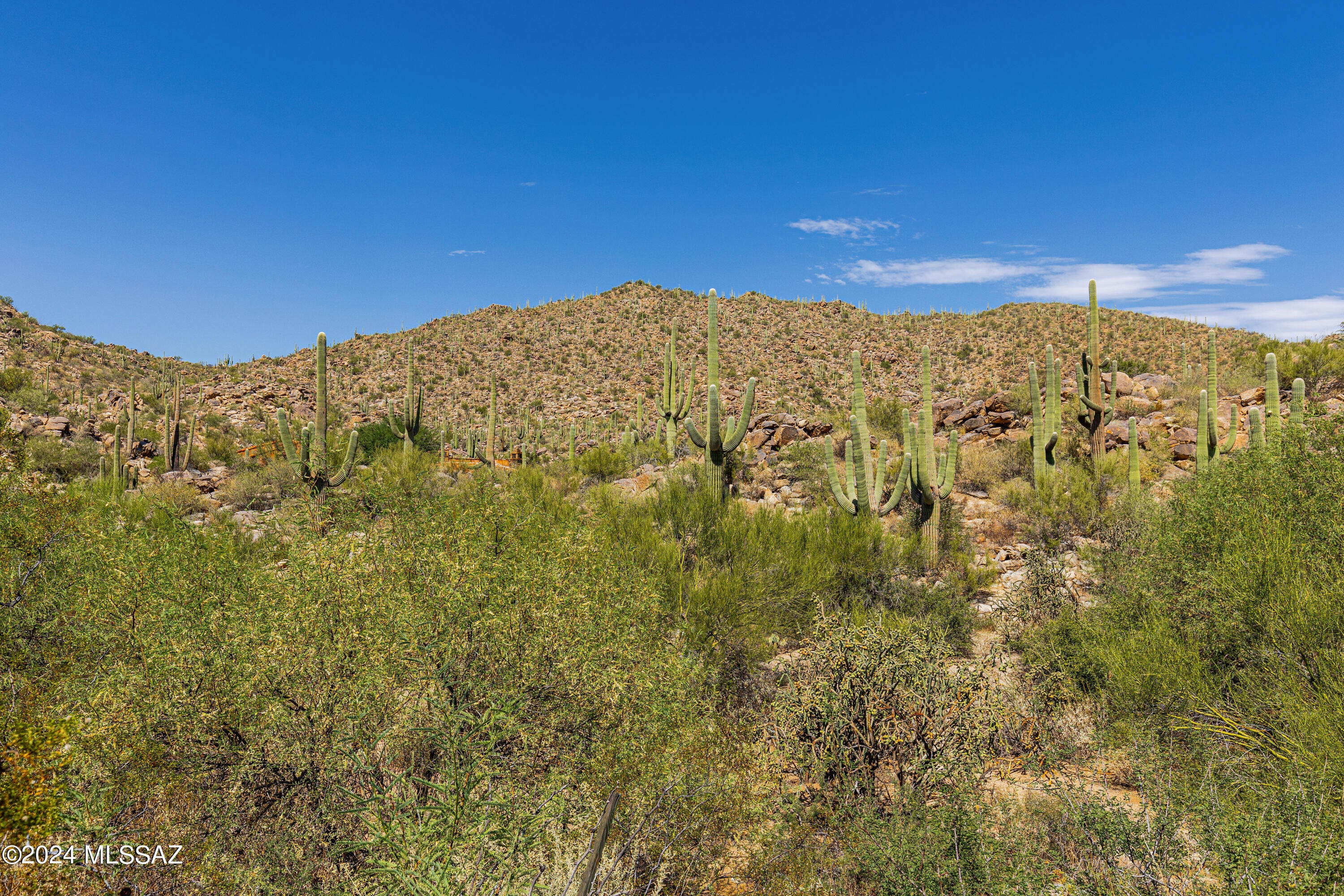 Stone Canyon II - Land