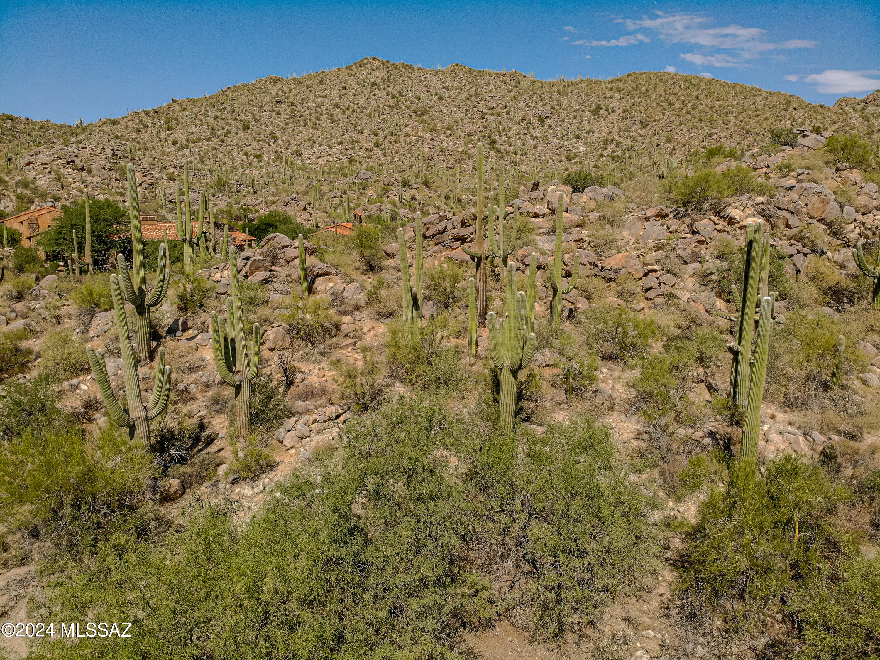 Stone Canyon II - Land