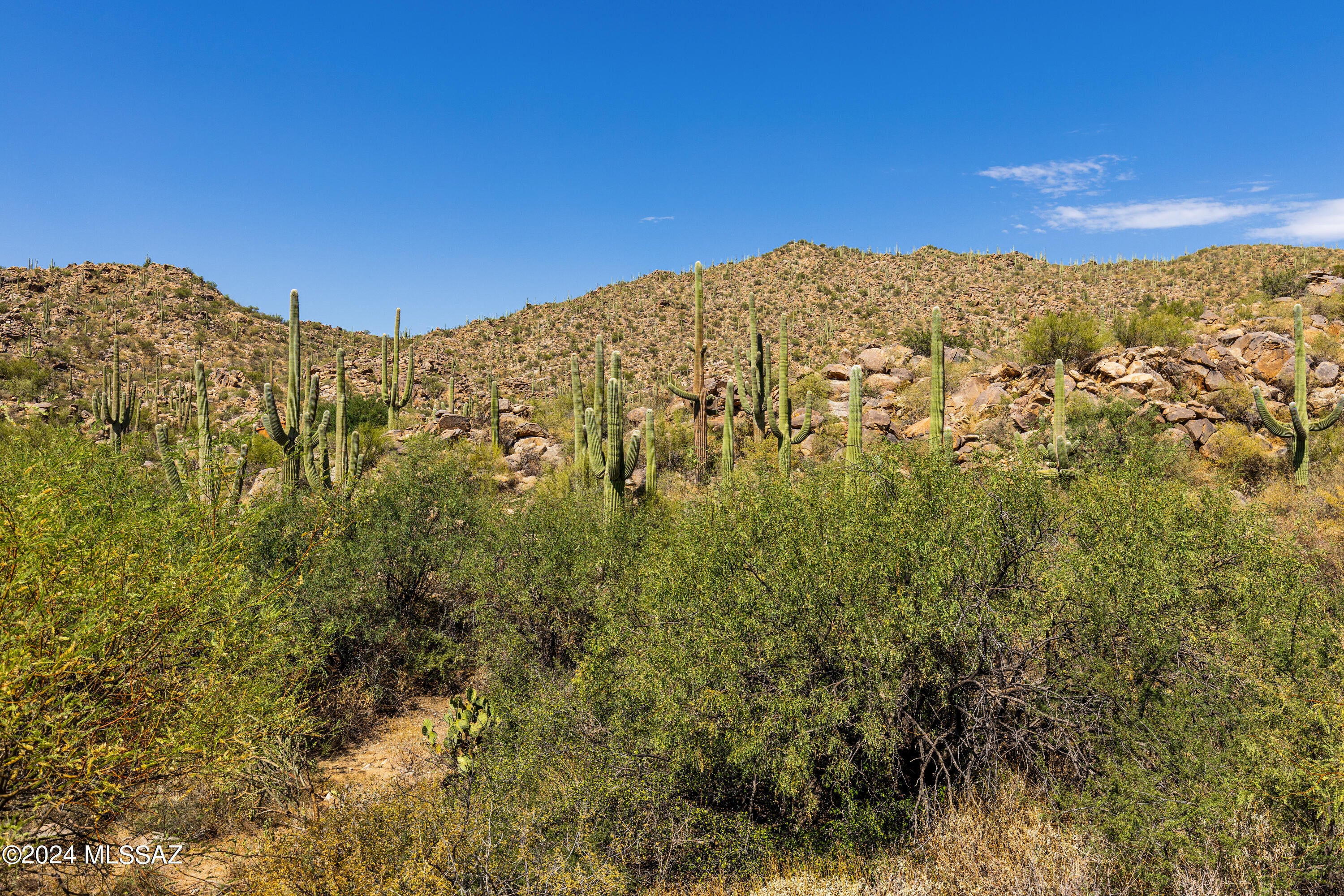 Stone Canyon II - Land
