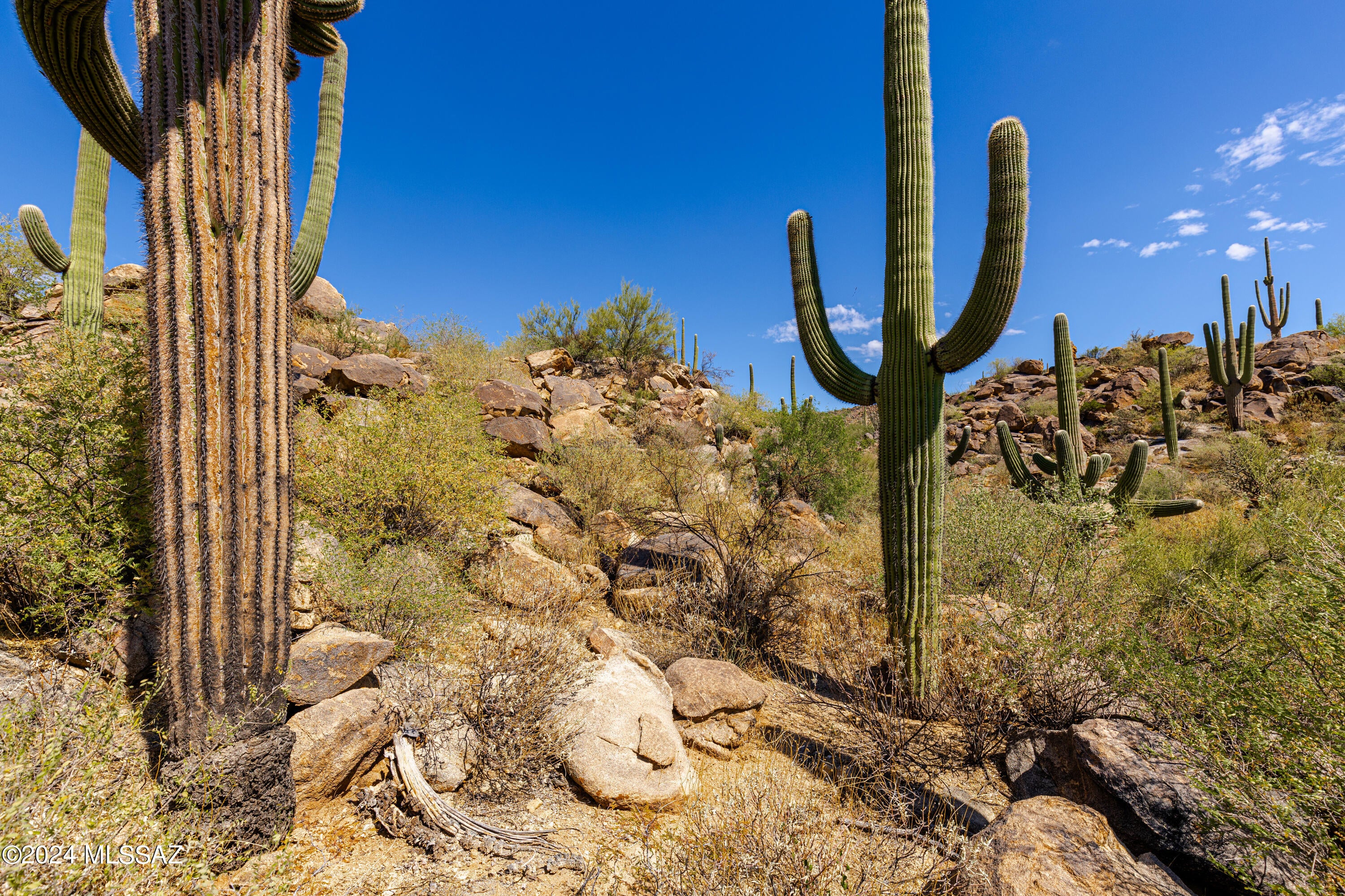 Stone Canyon II - Land