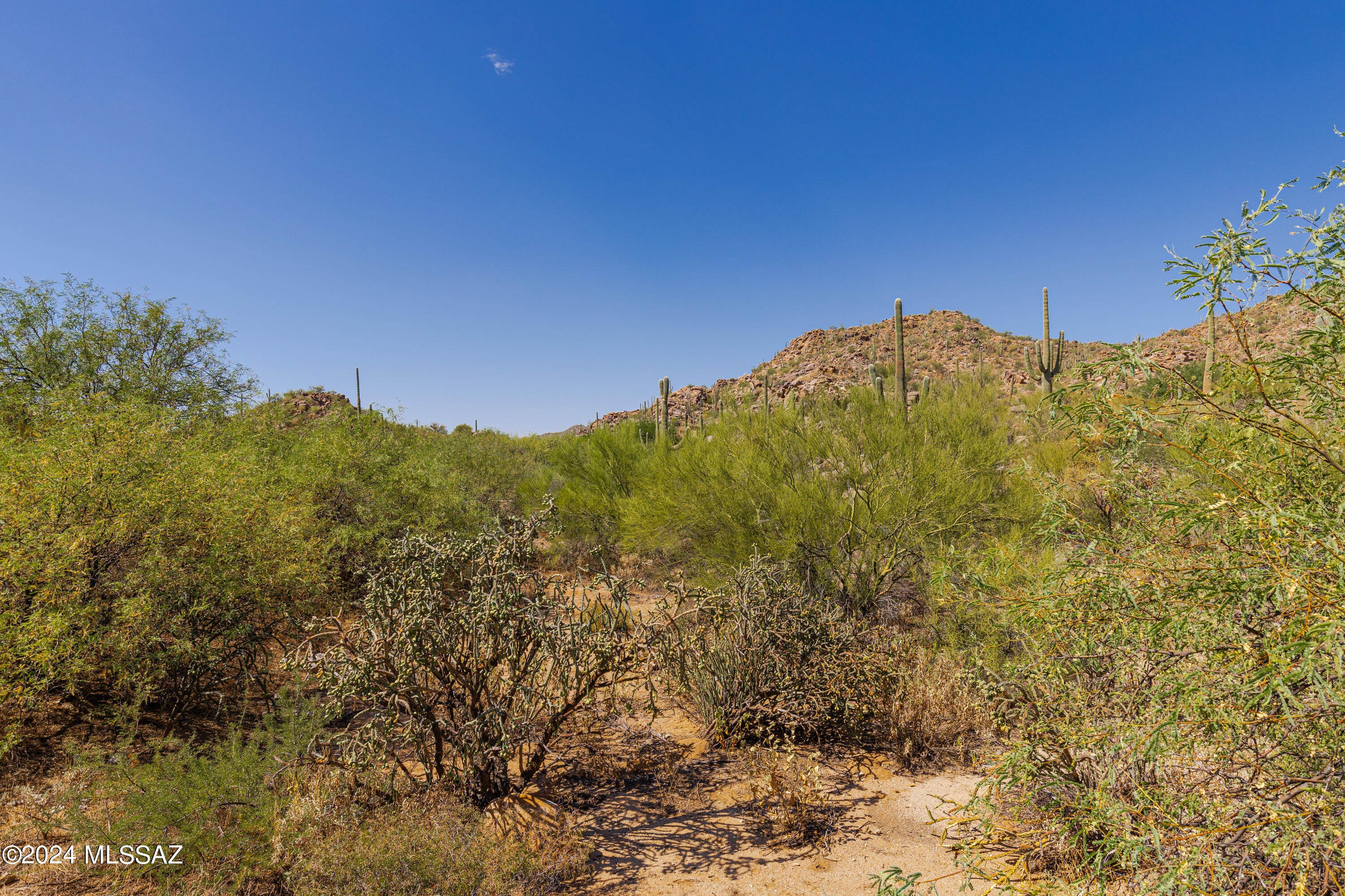Stone Canyon II - Land