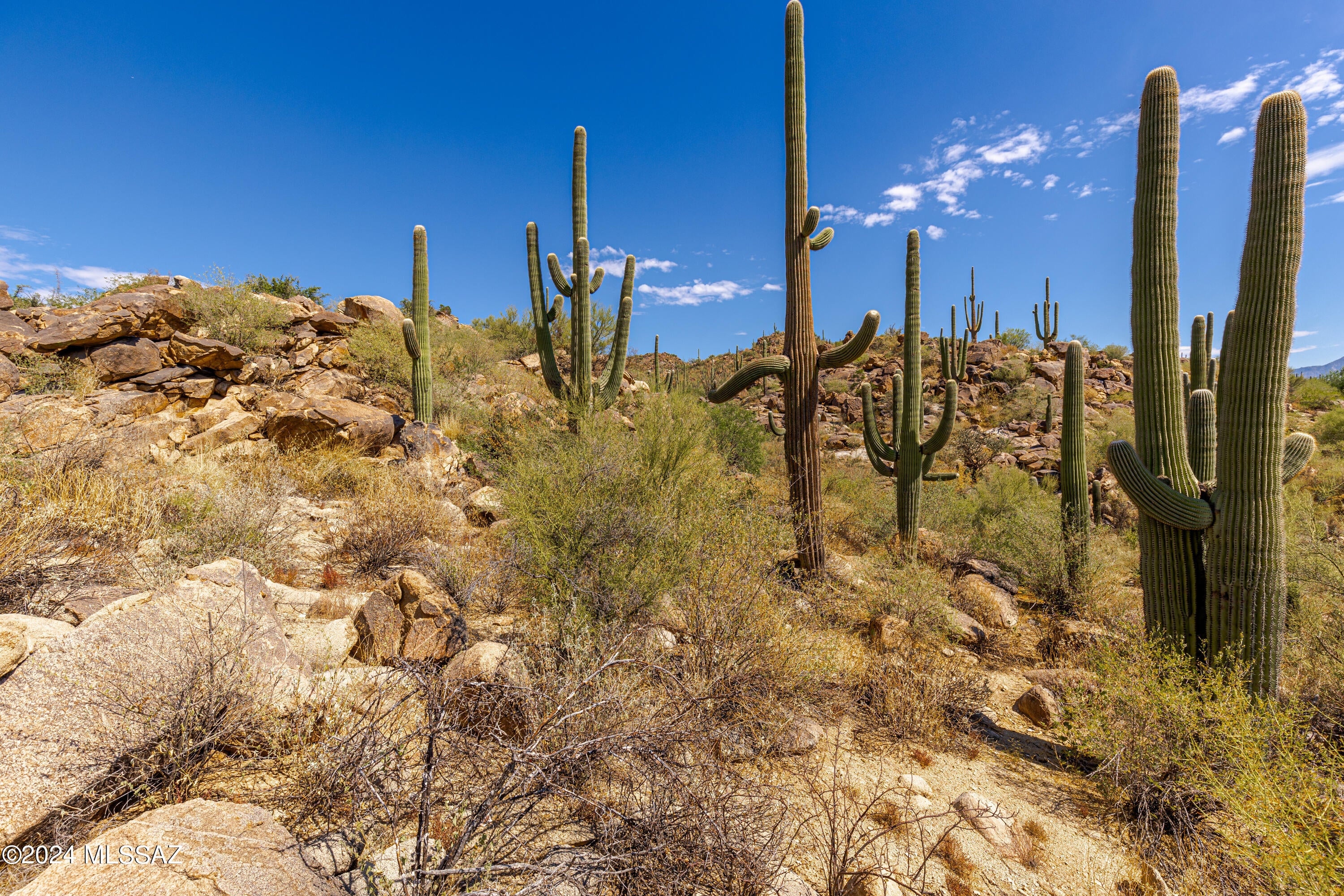 Stone Canyon II - Land