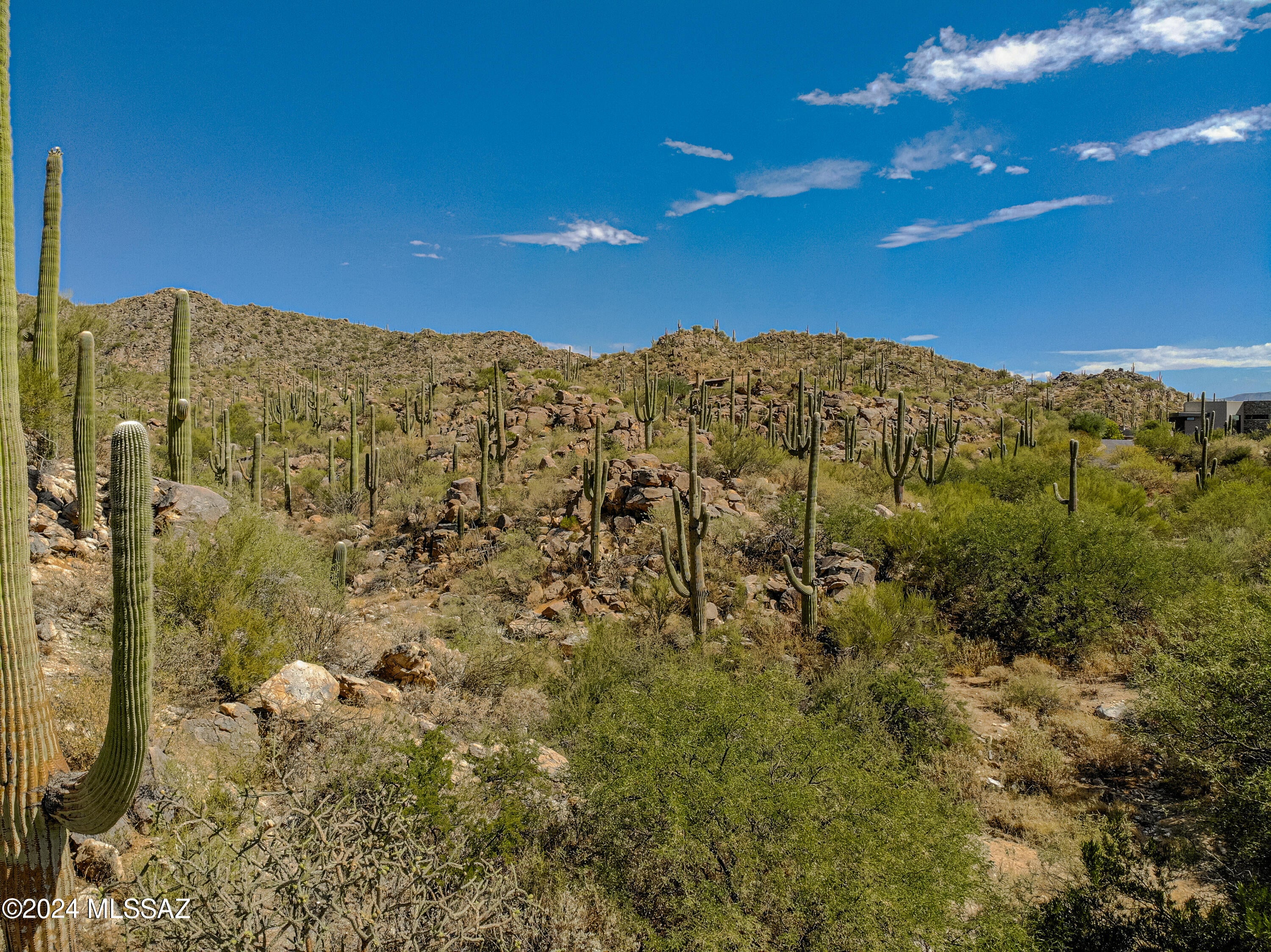 Stone Canyon II - Land
