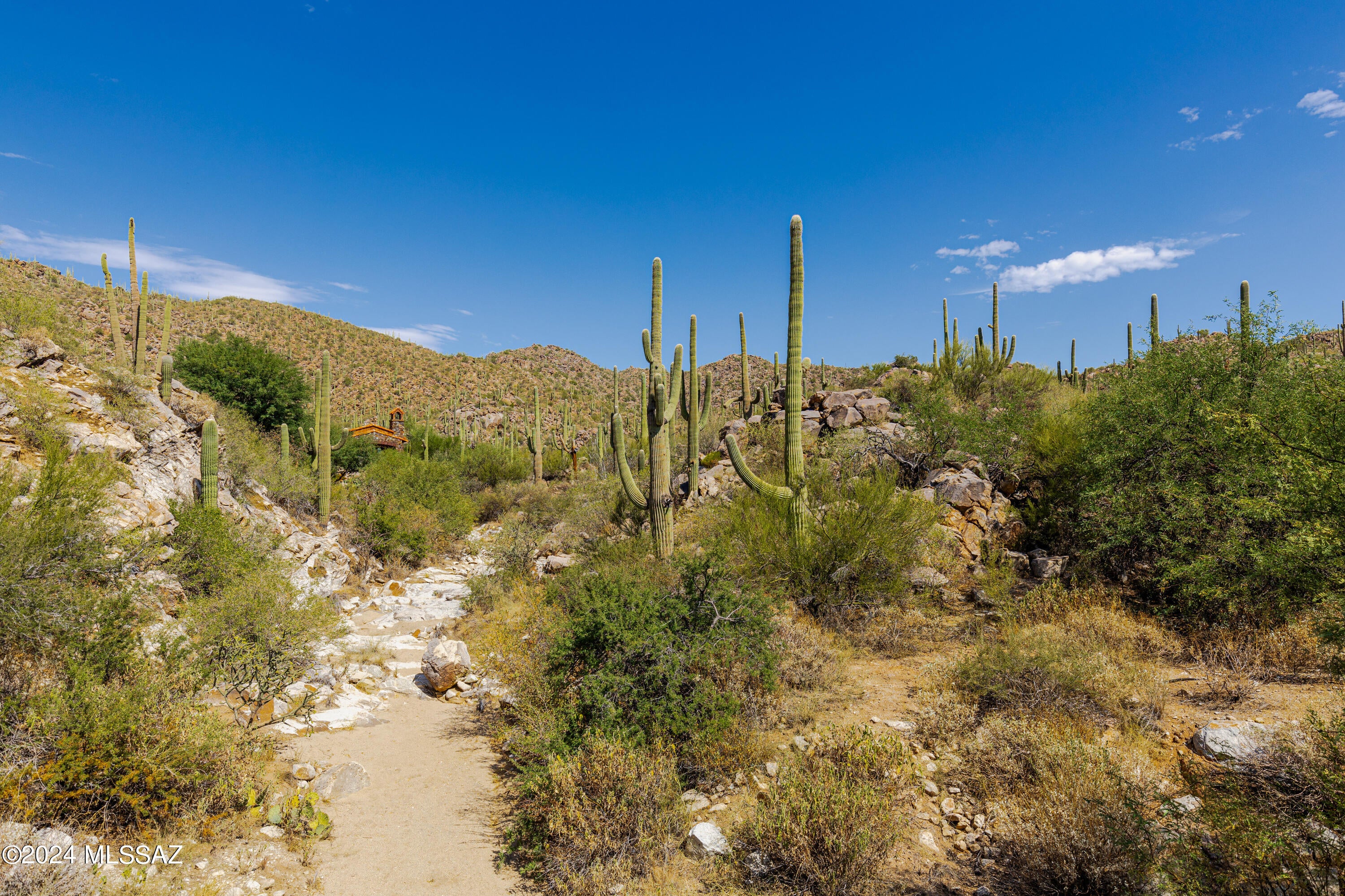 Stone Canyon II - Land