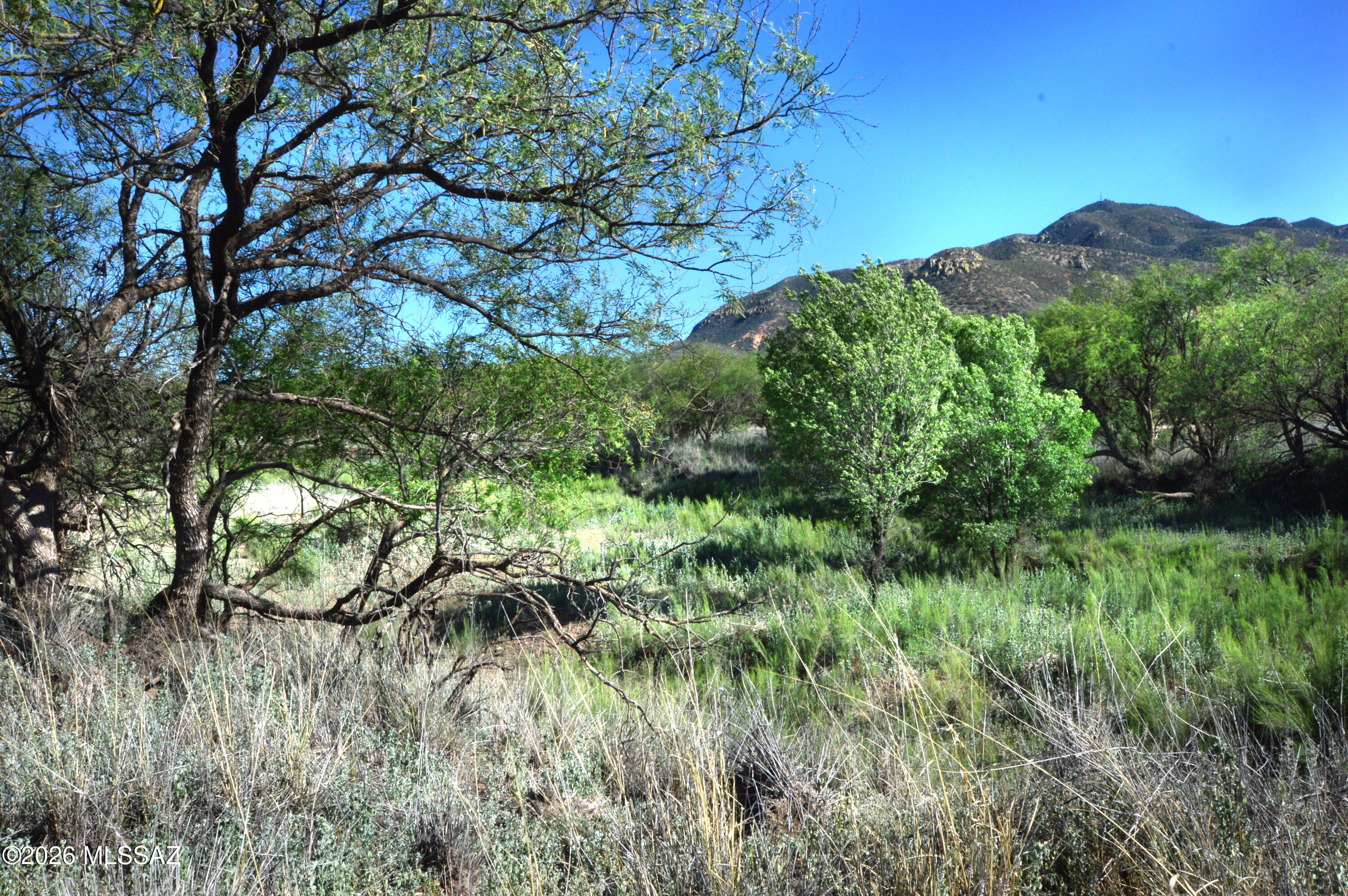 The largest parcel in Redrock Acres. A sizeable portion of the acreage is richly wooded w/mature mesquite trees, making it the most likely area for a new home. Access is excellent as are the habitat & mountain views surrounding the property. Of note is Sonoita Creek, an at-times robust 'seasonal creek' that runs along & through the parcel. The western-most part of the parcel is a flat, grassland habitat that might be nice for a few horses etc. Nearby cattle grazing; abundant natural wildlife; handsome homes; gravel bikers++ & dramatic mountain views are all givens with this setting. At the edge of historic Patagonia @ west & the AZ TRAIL & Coronado Natl Forest @ south + amazing birding, gravel biking, hiking++  Please ask about the regional mining that's underway SW of Patagonia.