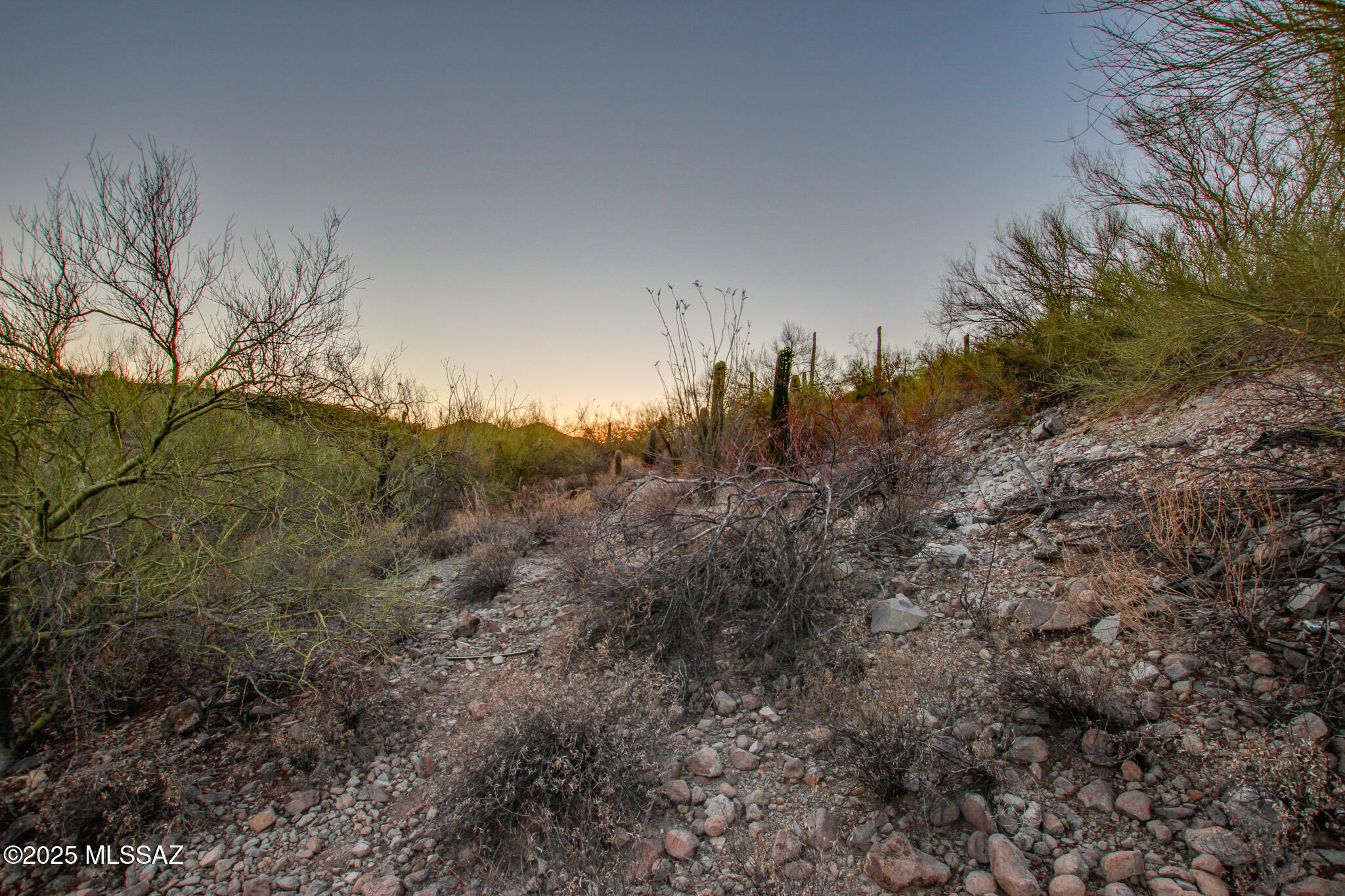 Sierra Tortuga (1-14) - Land