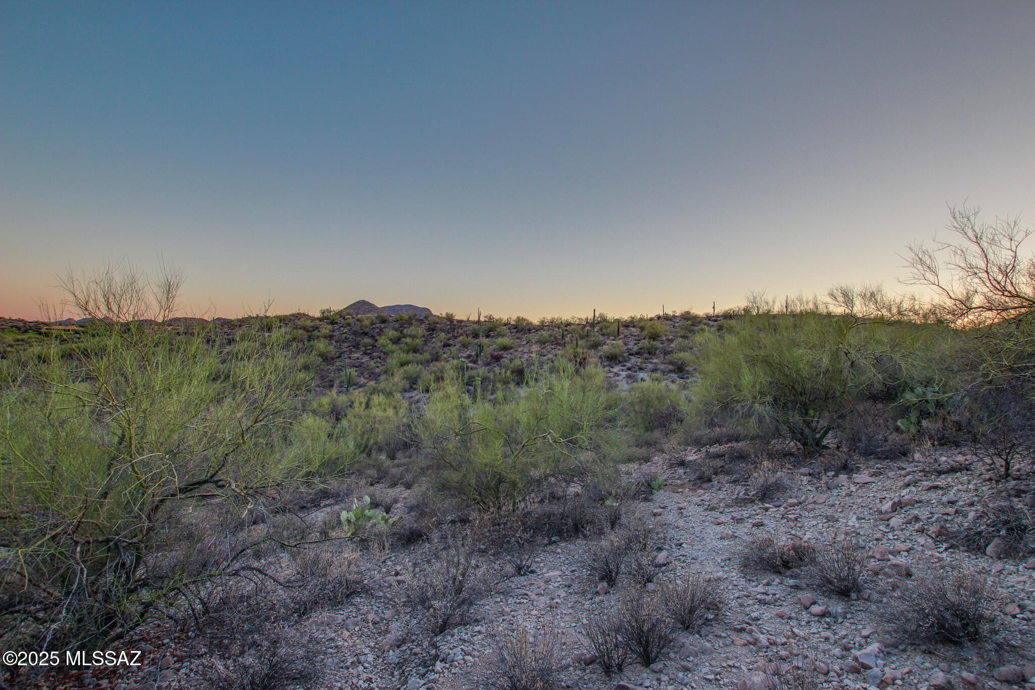 Sierra Tortuga (1-14) - Land