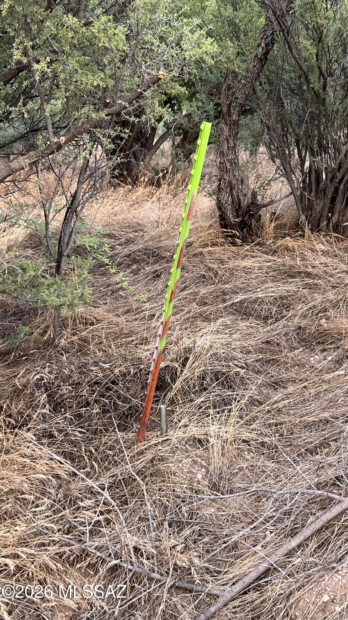 X9 Ranch - Land