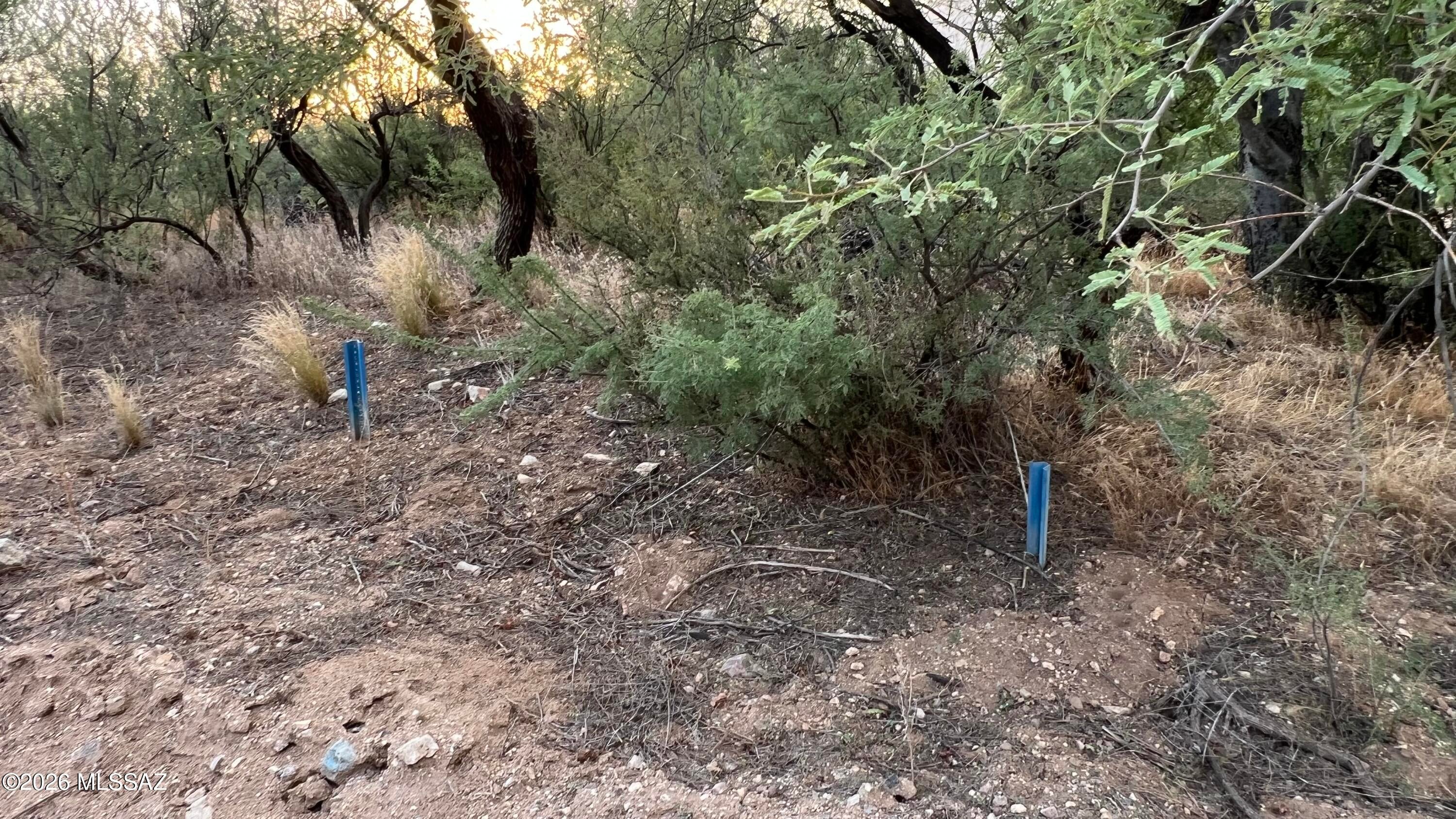 X9 Ranch - Land