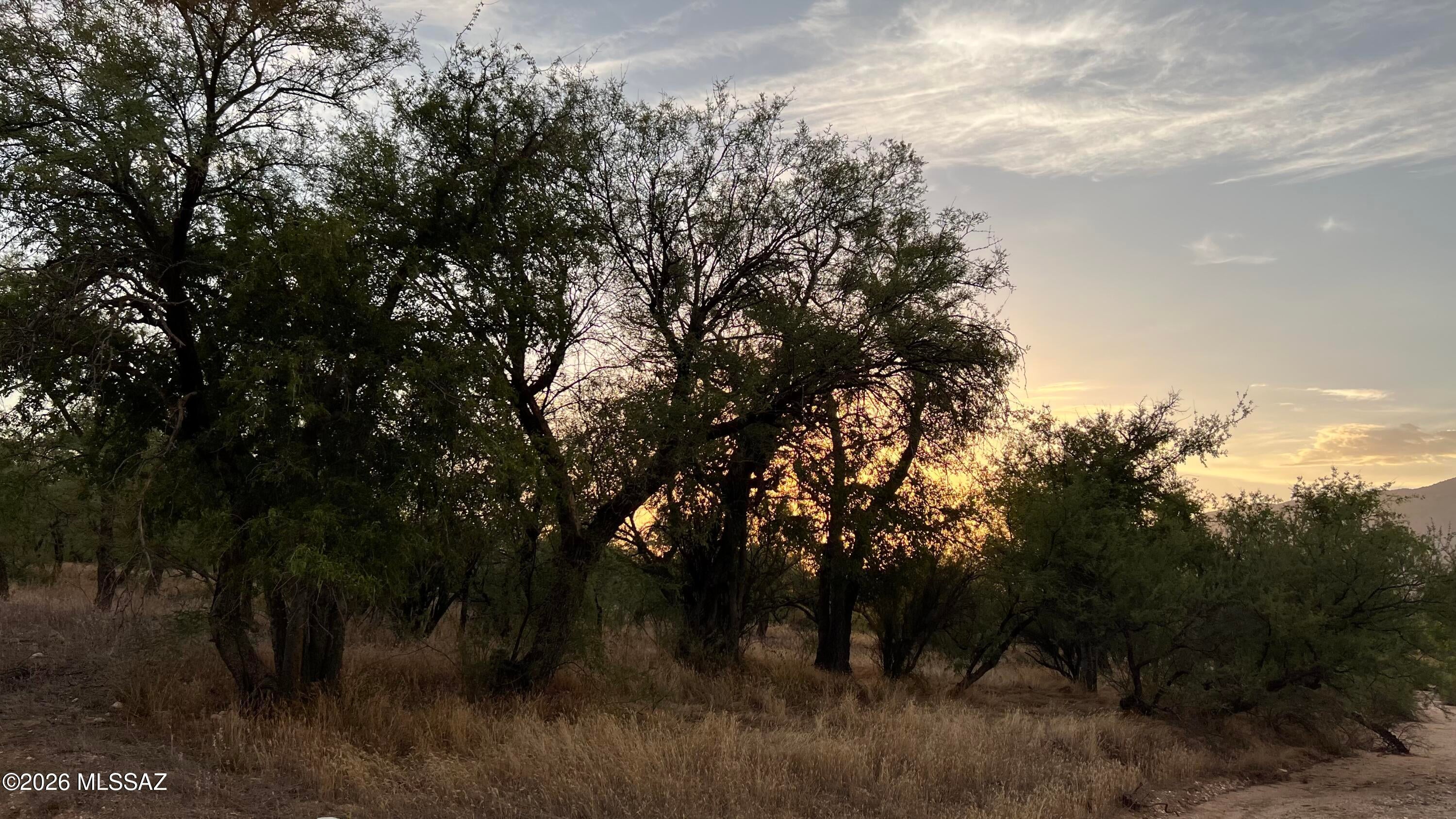 36+ Acres of pure natural desert land to build your very own private home. Parcel boarders National Forest land. Each parcel in the X9 Ranch community is 36 acres or more, so privacy is No 1. Breathtaking views of the natural area and mountains does not disappoint. Superb parcel with two distinct areas: the northern part offers excellent, private, flexible building sites bordering a magical riparian valley with bid sweeping mountain views and of Rincon Peak. The southern part offers magical mesquite studded riparian areas with mountain views. X9 Ranch is enveloped by Saguaro Nat'l Park, Coronado Nat'l Forest, and State Land. Approx. 45 minutes to Tucson airport.