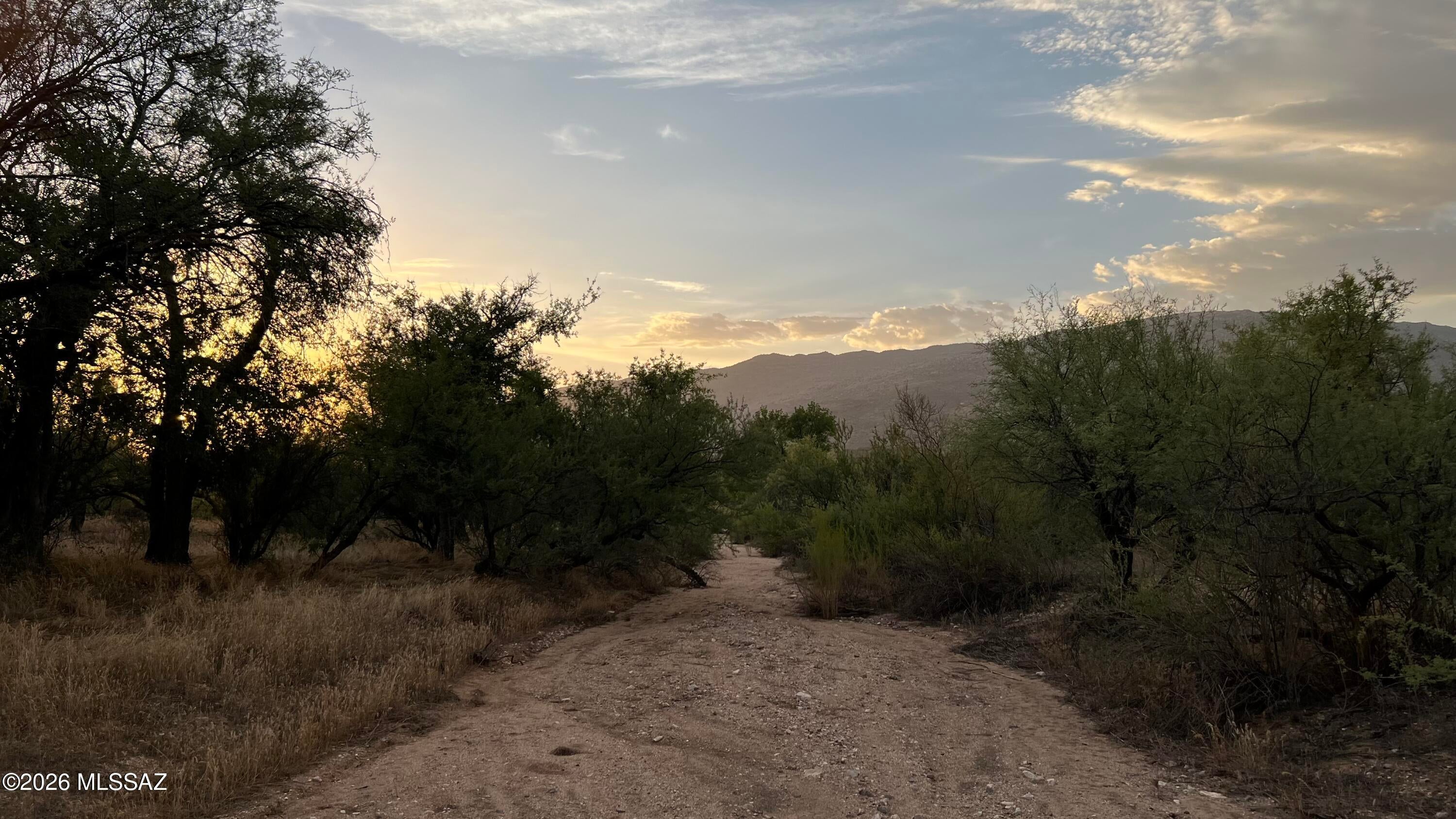 X9 Ranch - Land