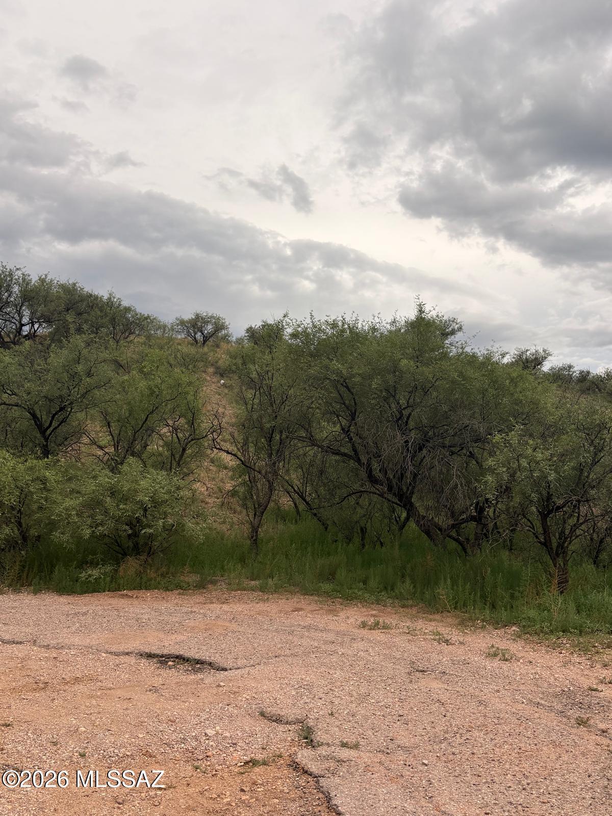 Rio Rico Estates 7 - Land