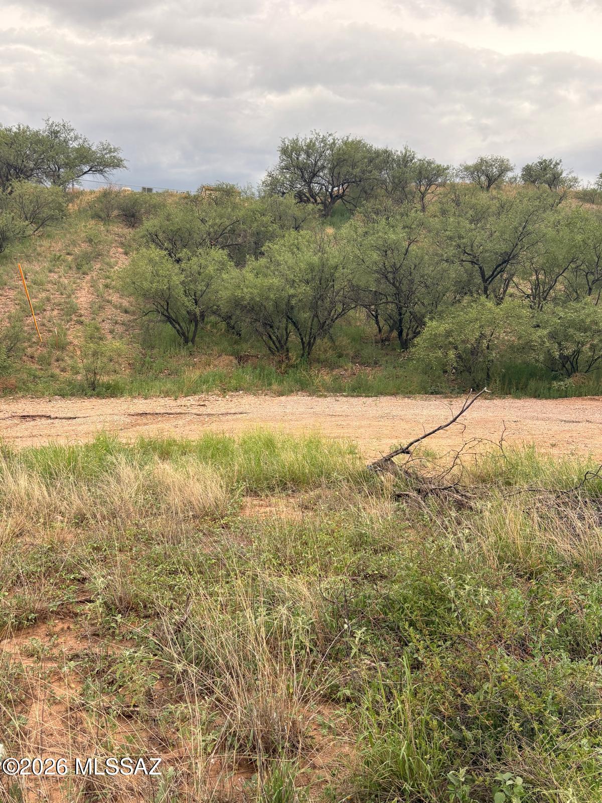 Rio Rico Estates 7 - Land