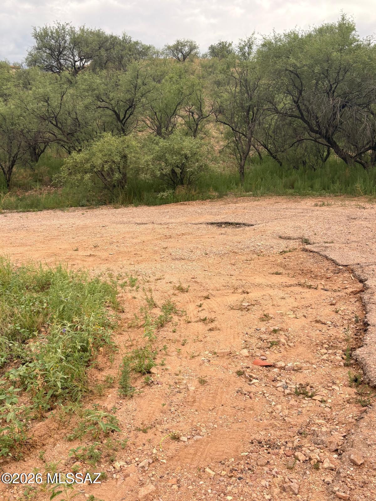 Rio Rico Estates 7 - Land