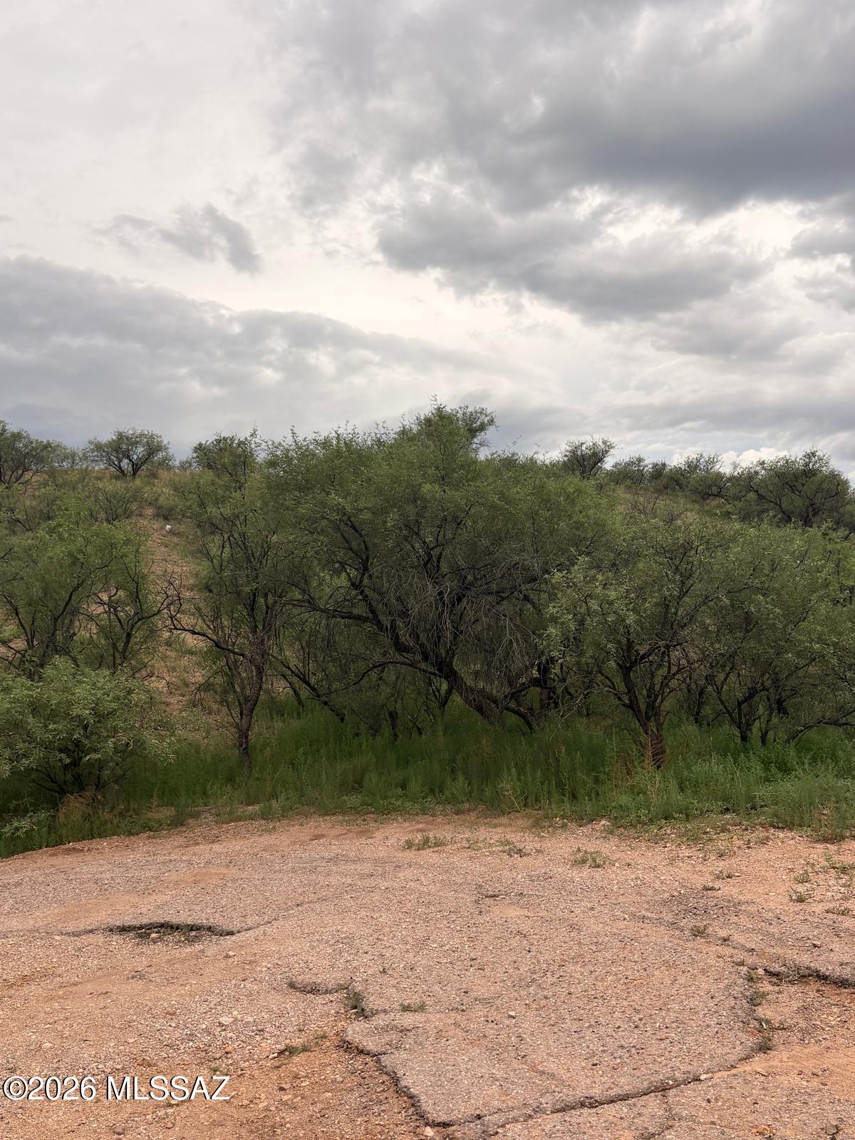 Rio Rico Estates 7 - Land