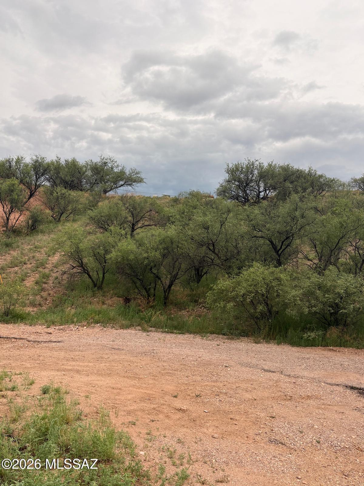 Rio Rico Estates 7 - Land