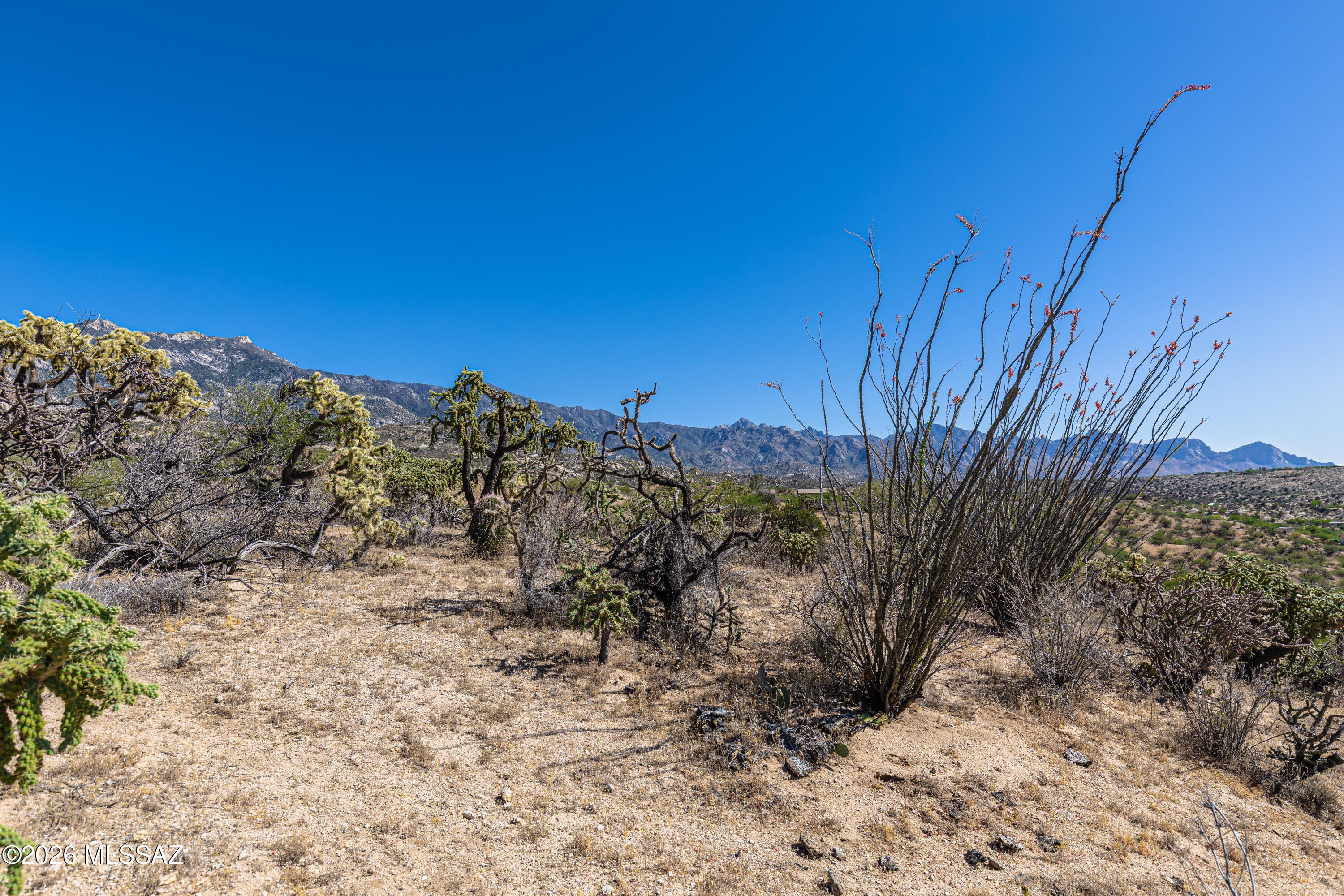 Here's a unique opportunity to own TWO hilltop lots that can be combined into one EXCEPTIONAL custom homesite of 2.08 acres! While each lot is available individually, the combined property would provide amazing privacy, plus offer 360 degree views of the Catalina, Tortolitas, CDO valley, and city lights at night. The additional building site square footage could be used for an even larger home or to position a future build exactly where it best fits your dream house! This land location offers a relaxed lifestyle, yet is nearby to shopping, restaurants, hiking, biking, and more! Site preparation at the neighboring land has been quite easy, which should keep development costs low! Water, electric, and phone are available. Call today for more information or to schedule a site tour.