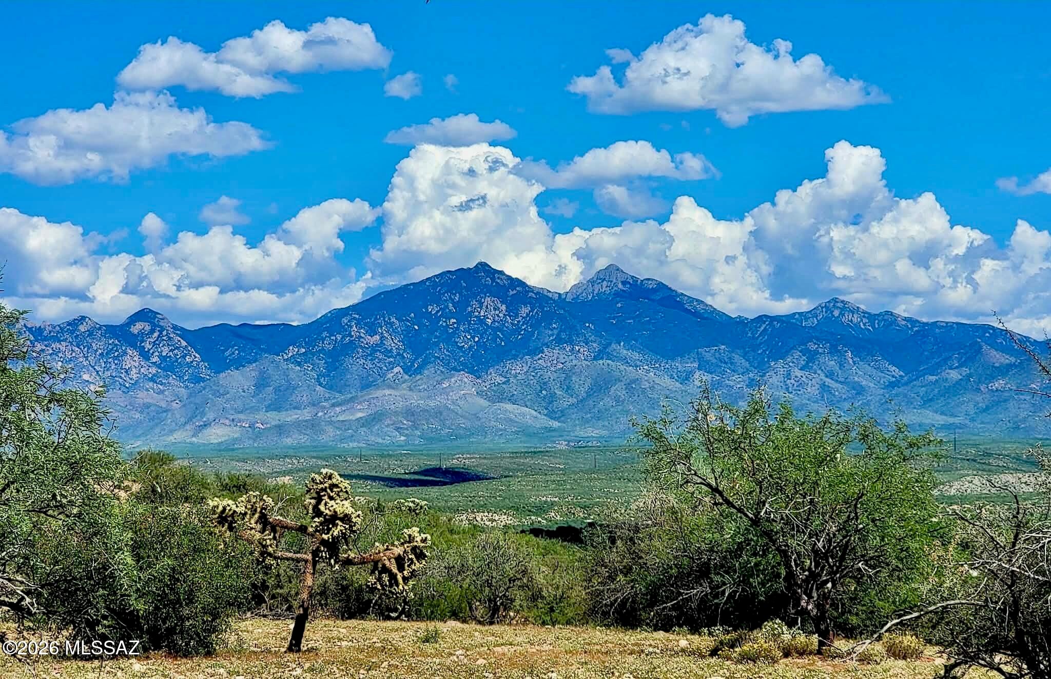 Historic Tubac - 24+ Acres with 5-Parcel Subdivision Potential! Discover the perfect canvas for your custom desert estate or a premier boutique development. Nestled in the breathtaking High Sonoran Desert just minutes from the historic heart of Tubac, this exceptional 24.28 acre parcel offers the ultimate blend of tranquil rural living, village convenience, and incredible investment flexibility. For the visionary buyer, this expansive acreage features the highly desirable potential to be subdivided into up to five individual custom home sites. Enjoy uncompromised, 360-degree views of the majestic Santa Rita & Tumacacori Mountains, providing a dramatic backdrop for morning sunrises and vibrant, world-class Arizona sunsets. The property boasts a gentle, buildable topography adorned with native ocotillo, saguaro and mesquite. Positioned far from city lights, your future home or residential enclave will double as a private observatory under Tubac's legendary dark star-filled skies. Whether you are looking to build a singular, sprawling luxury retreat or capitalize on dividing the land into five pristine parcels, this unique property offers the space, privacy and scenery you've been searching for!!!