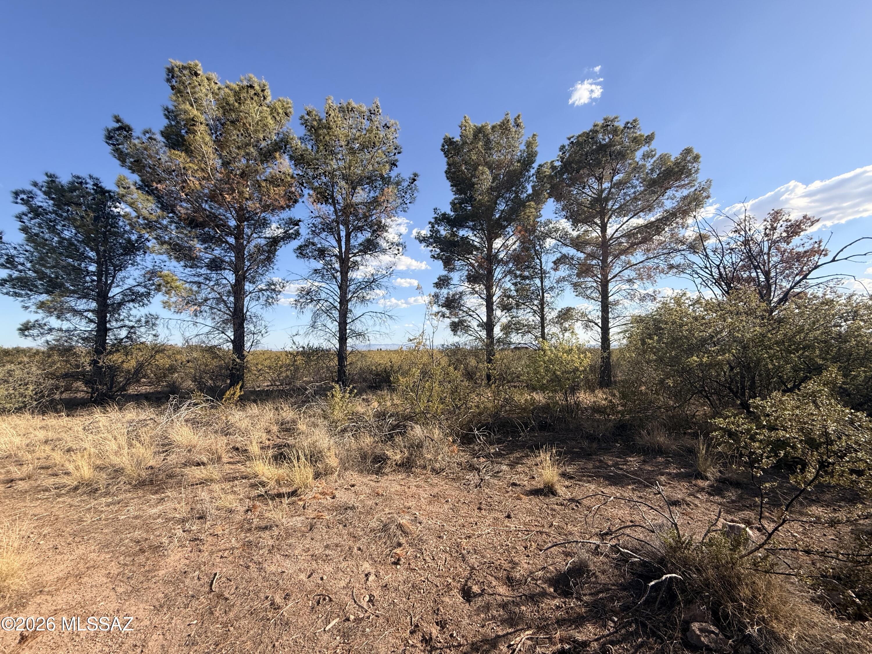 Out Of Pima County - Land