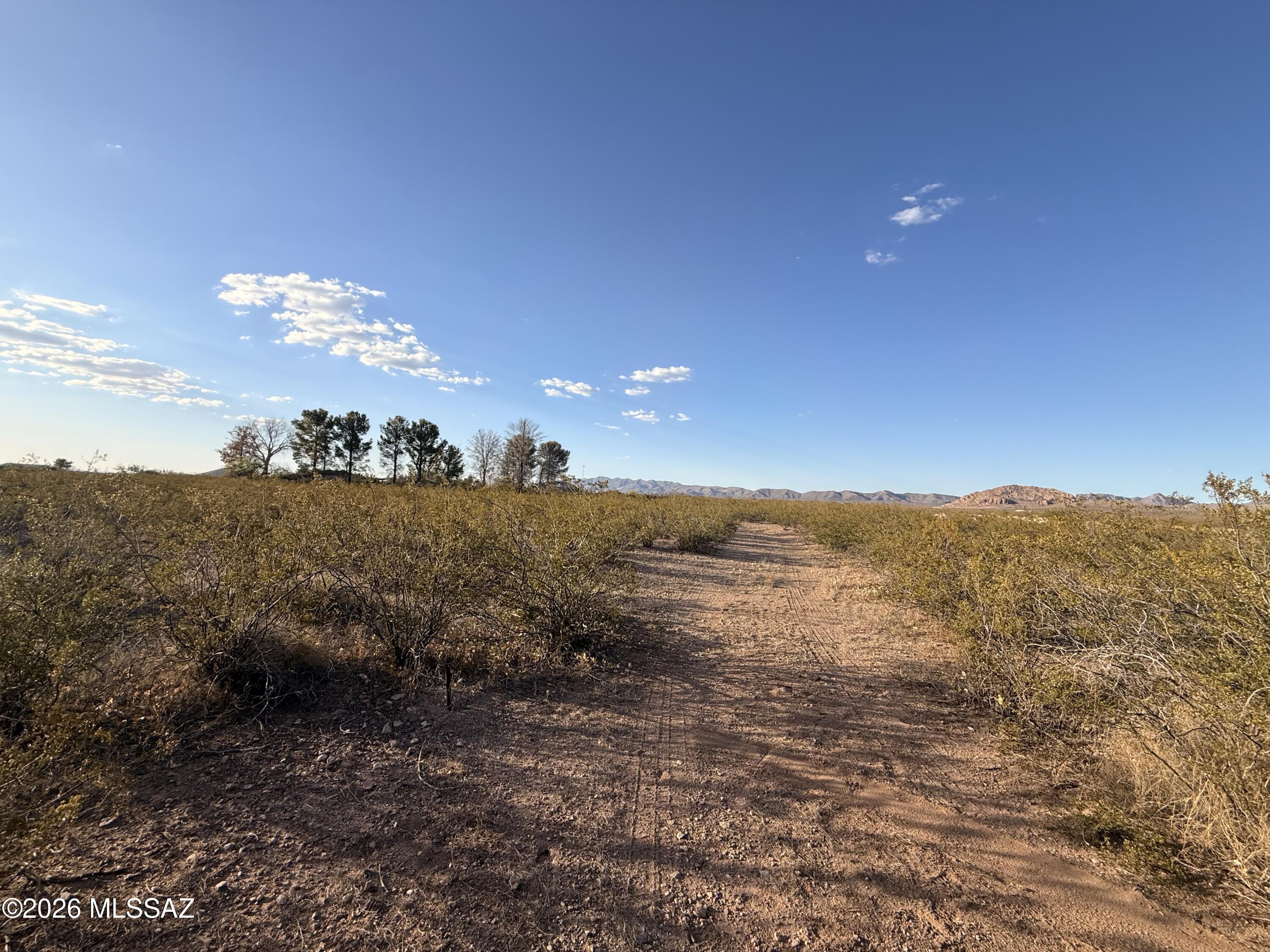 Out Of Pima County - Land
