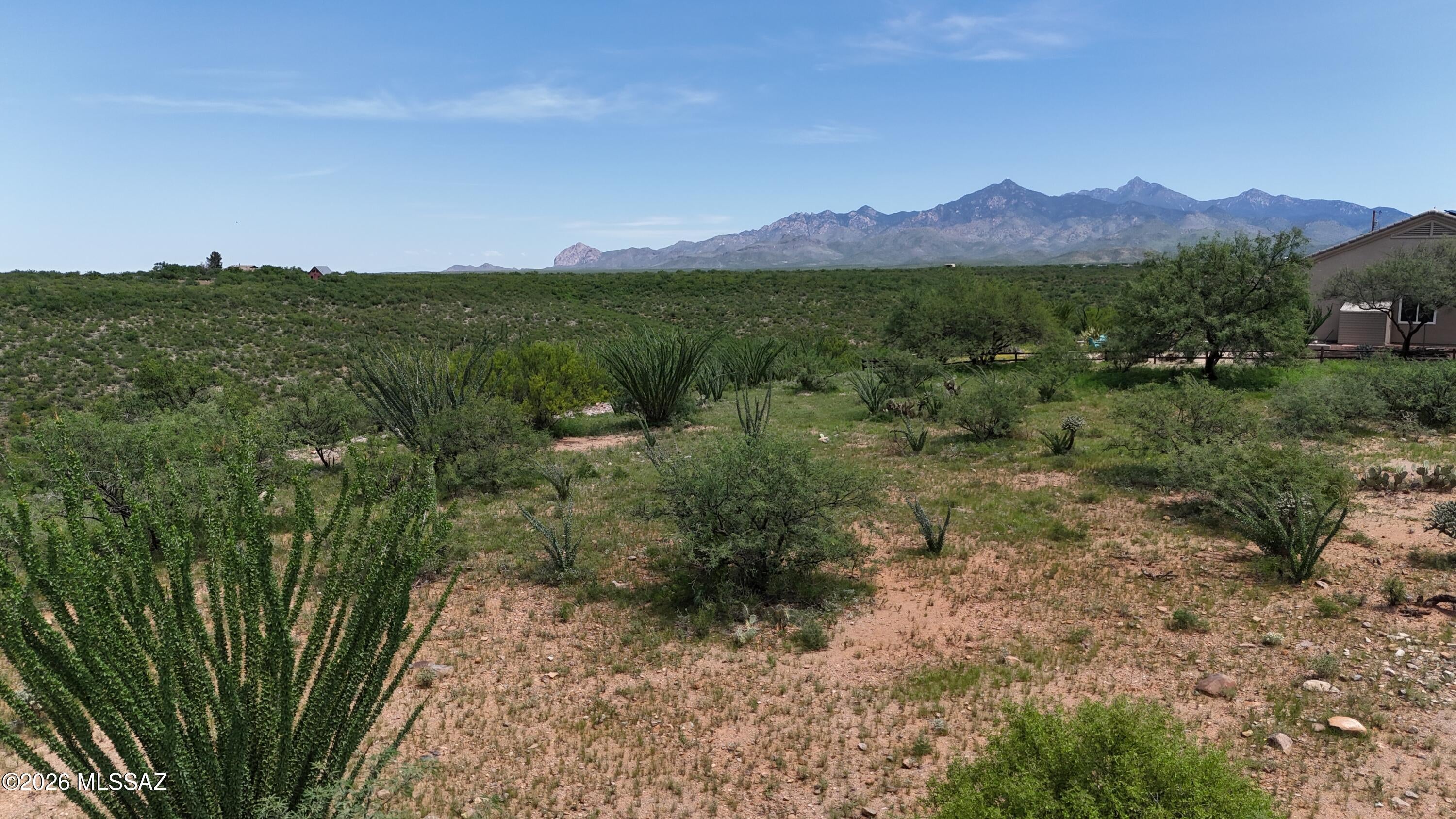 Rio Rico Estates 16 - Land