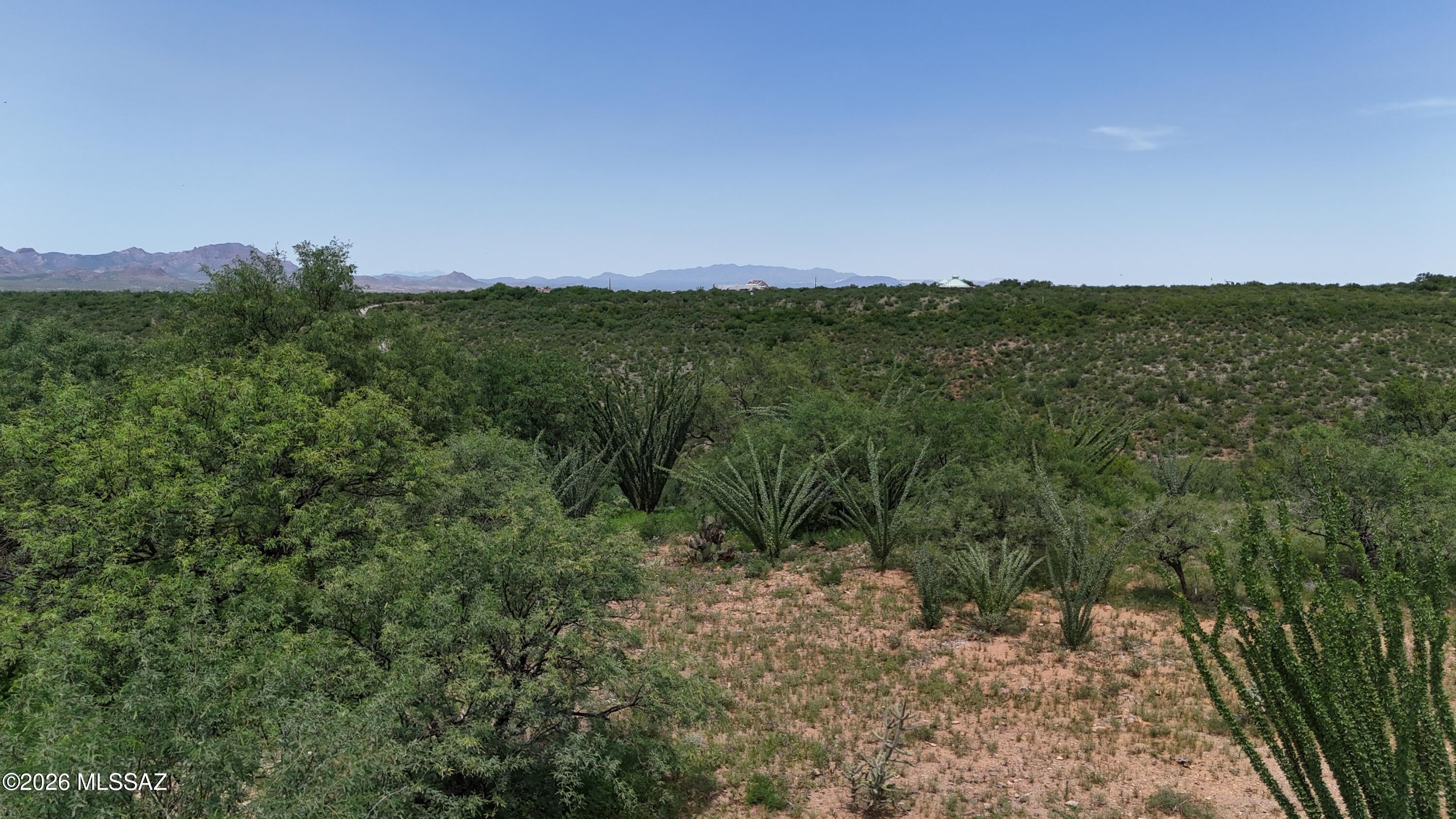 Rio Rico Estates 16 - Land