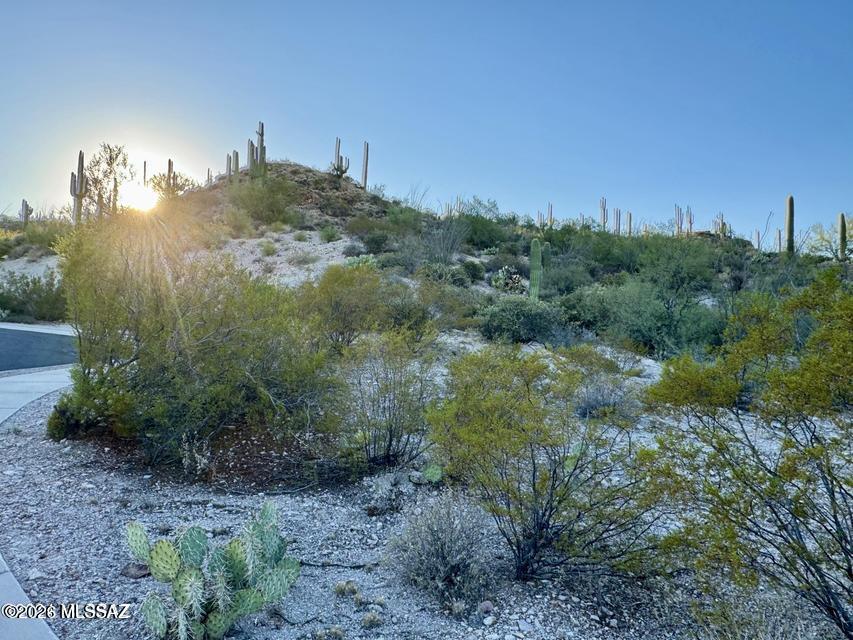 Wildcat Pass (1-61) - Land