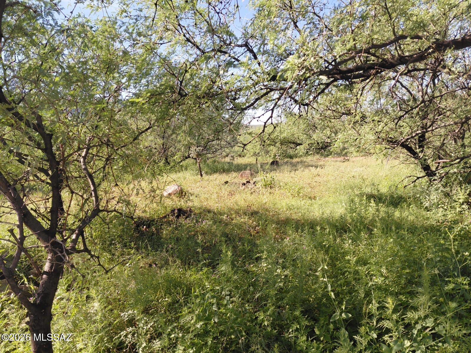 Rio Rico Villas 12 - Land