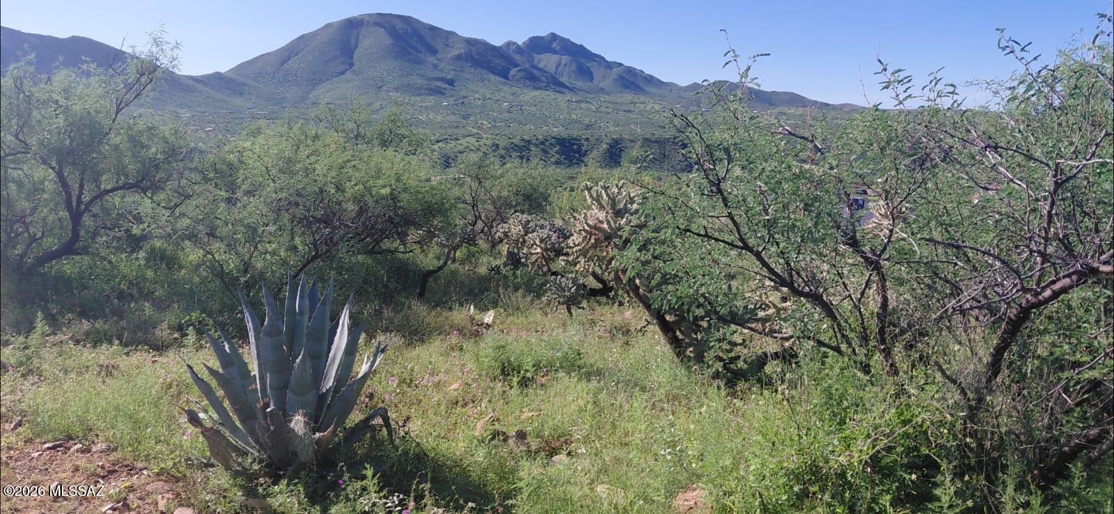 Rio Rico Villas 12 - Land