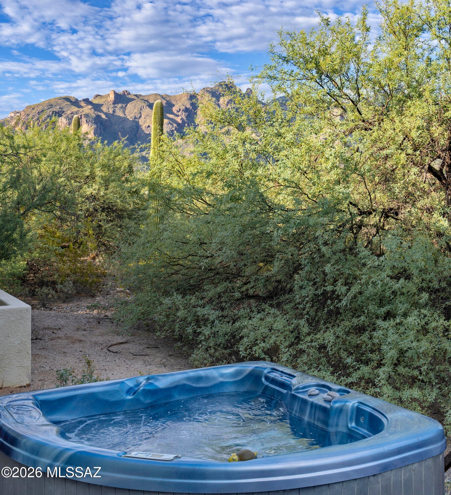 Catalina Foothills Estates NO. 6 (1-54) - Residential