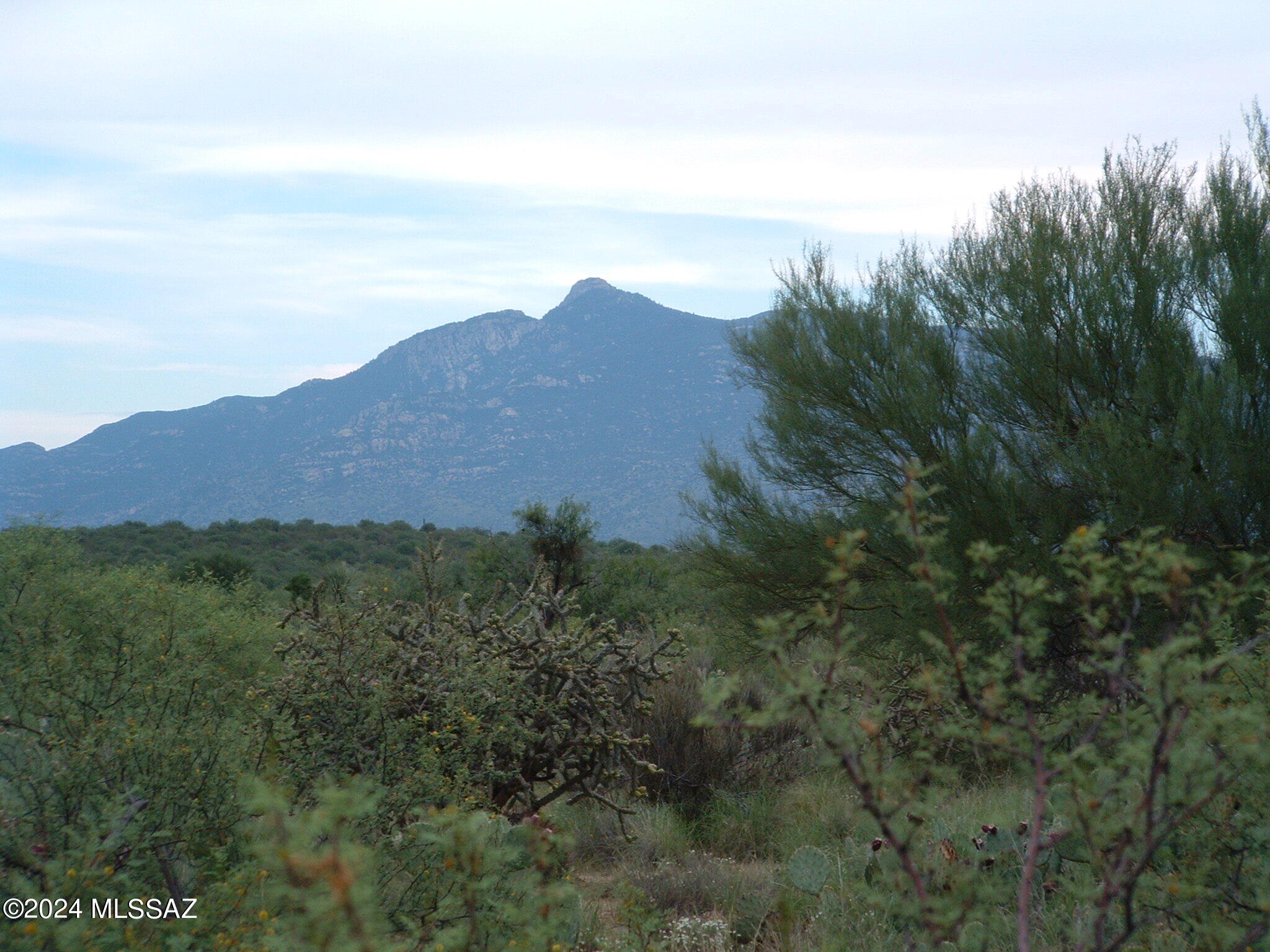 Rancho Salado Estates - Land